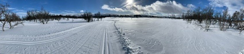Løypenettet frister til aktive dager i nydelig natur! (Selgers foto) Galleribilde