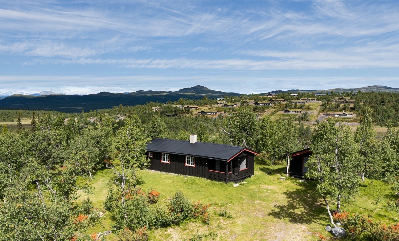 For dette er et herlig sted å kommen opp til uansett årstid! Galleribilde