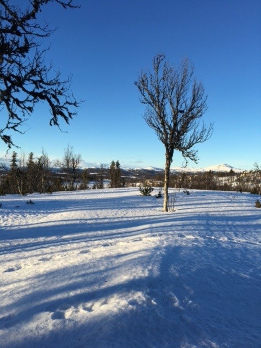 Skulle noen ønske en tur i slalåmbakken er det ca.18 km til Gamlestølen . (Selgers foto) Galleribilde