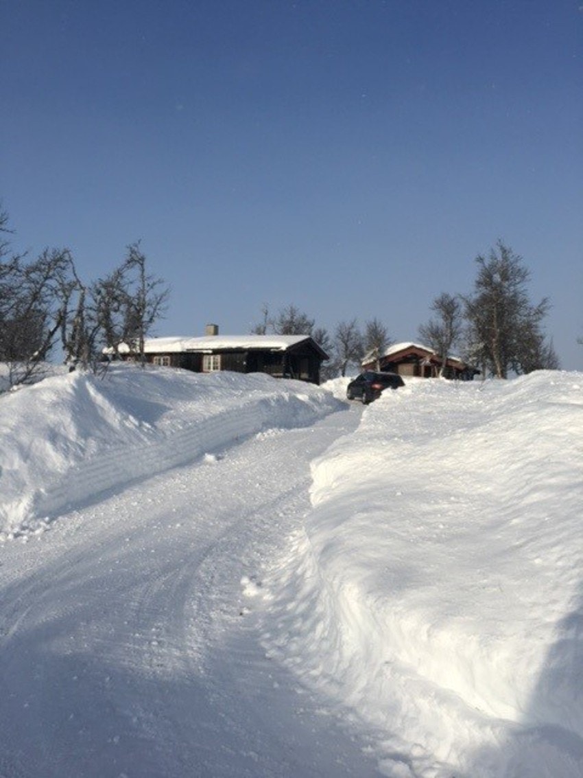Hvitt og vakkert med mye snø. (Selgers foto). Galleribilde