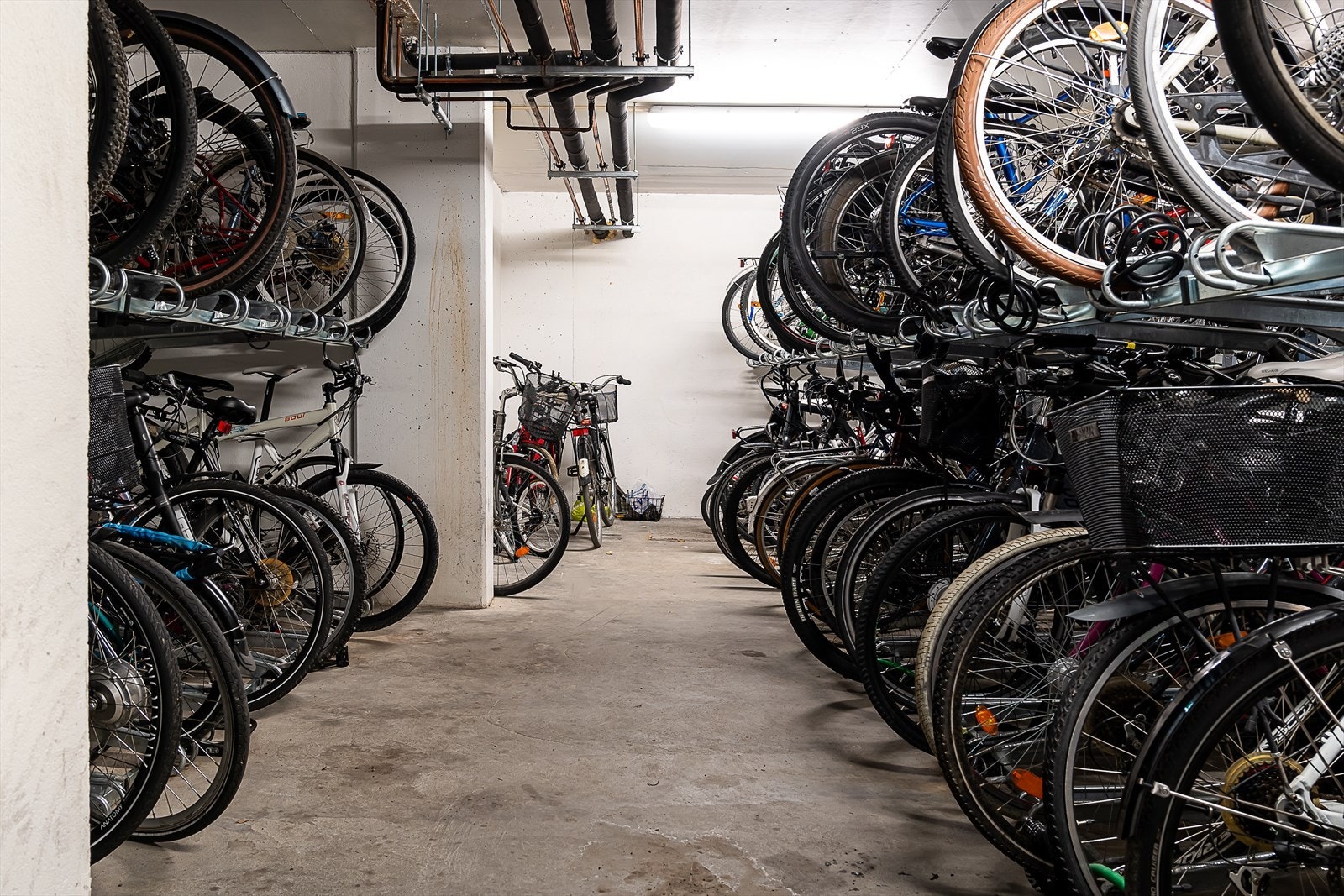 Sameiet har felles sykkelbod for beboerne. Galleribilde