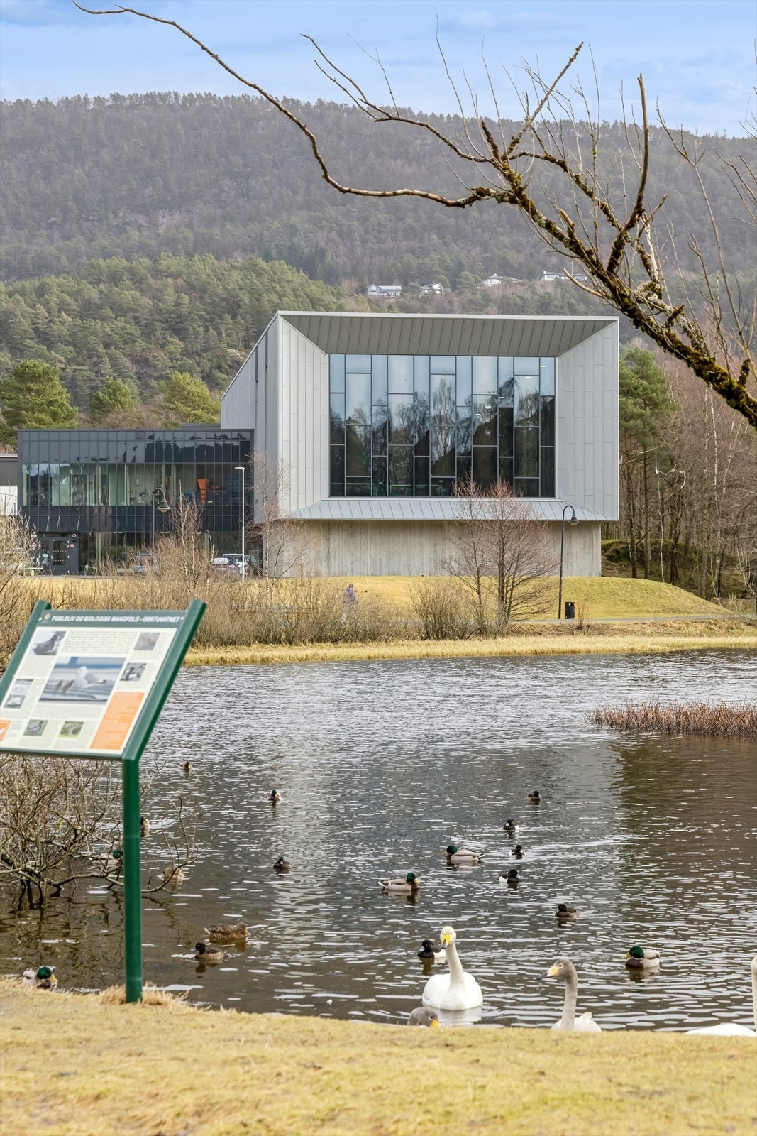 Nærområdet - Kort vei til helt ny svømmehall v/Ortuvannet Galleribilde