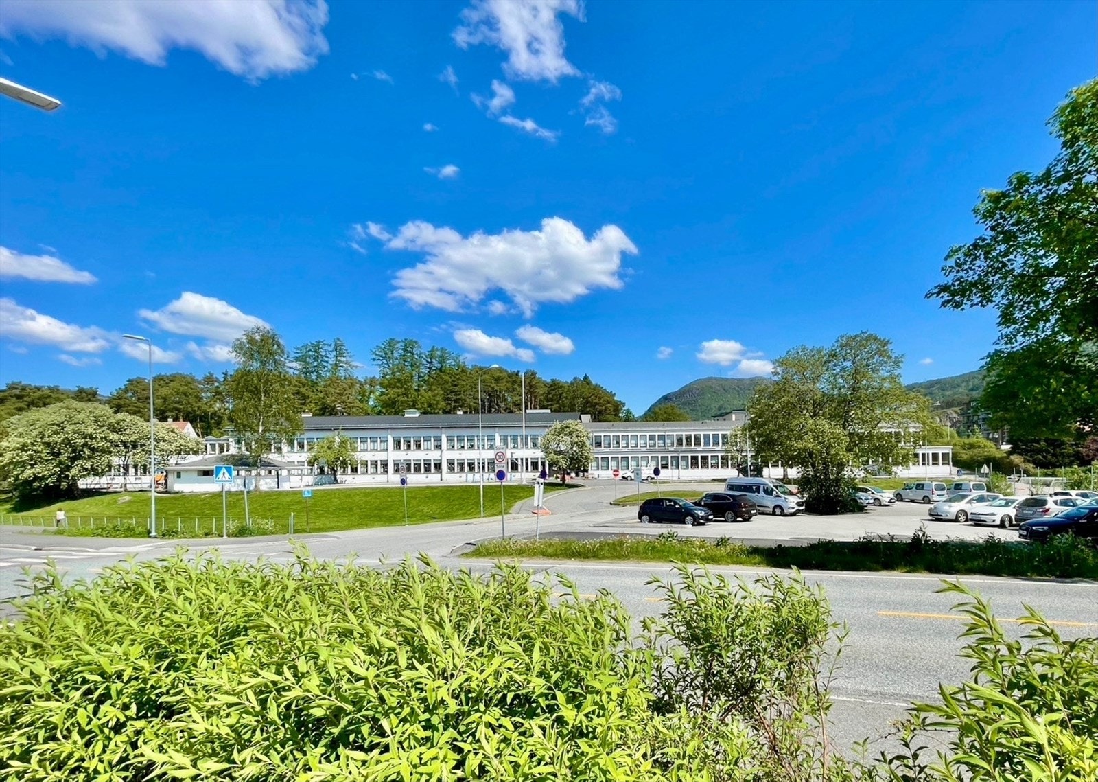 Nærområdet - Sælen skole Galleribilde