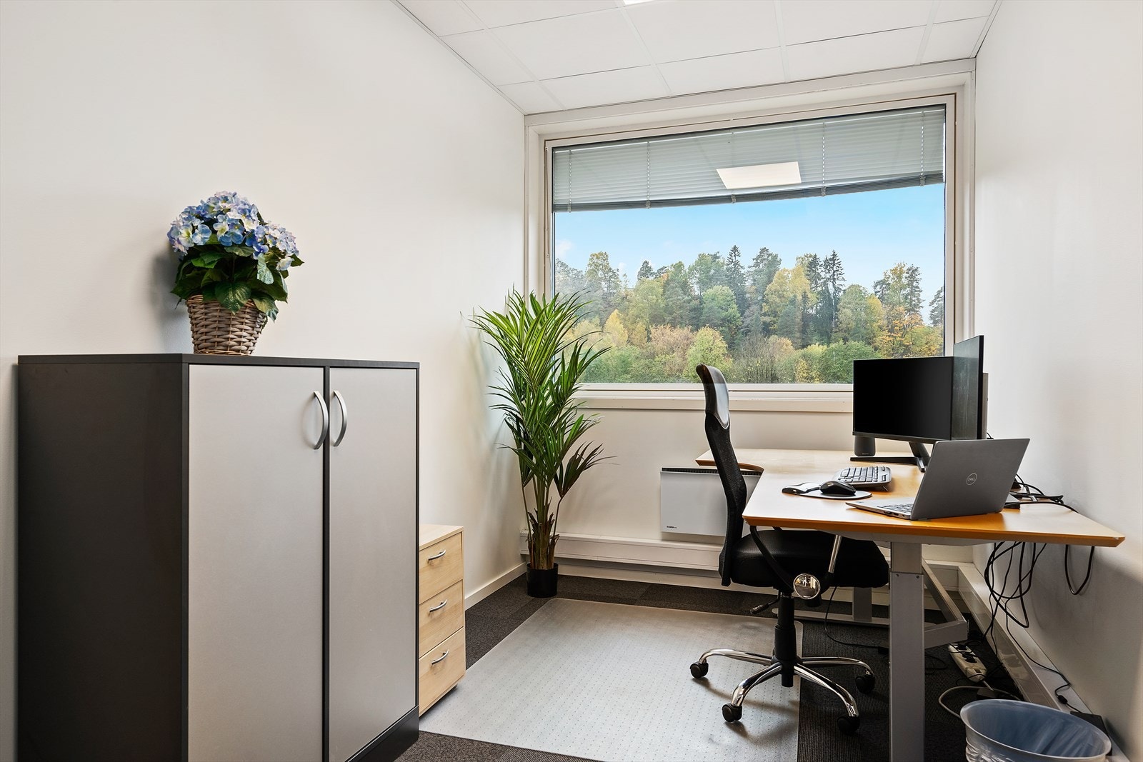 Kontorlokalet Galleribilde