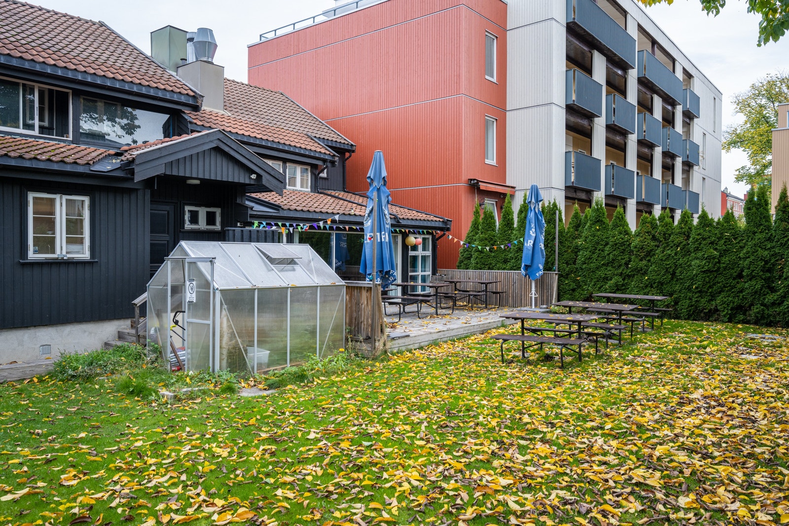 Det står et drivhus her, dersom man vil ha kortreist mat på menyen. Galleribilde