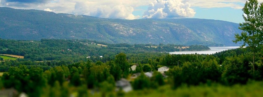 Bilde tatt fra Ødegård Panorama Galleribilde