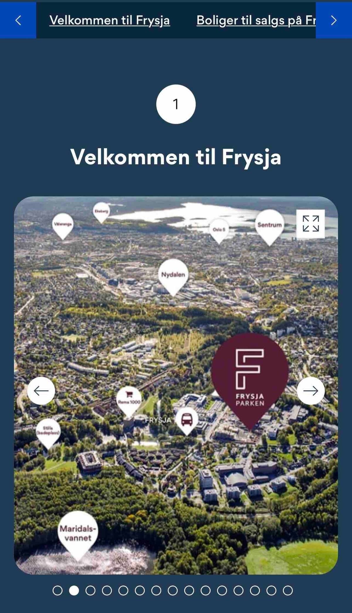 Frysja sett fra Nordmarka mot Oslo Galleribilde