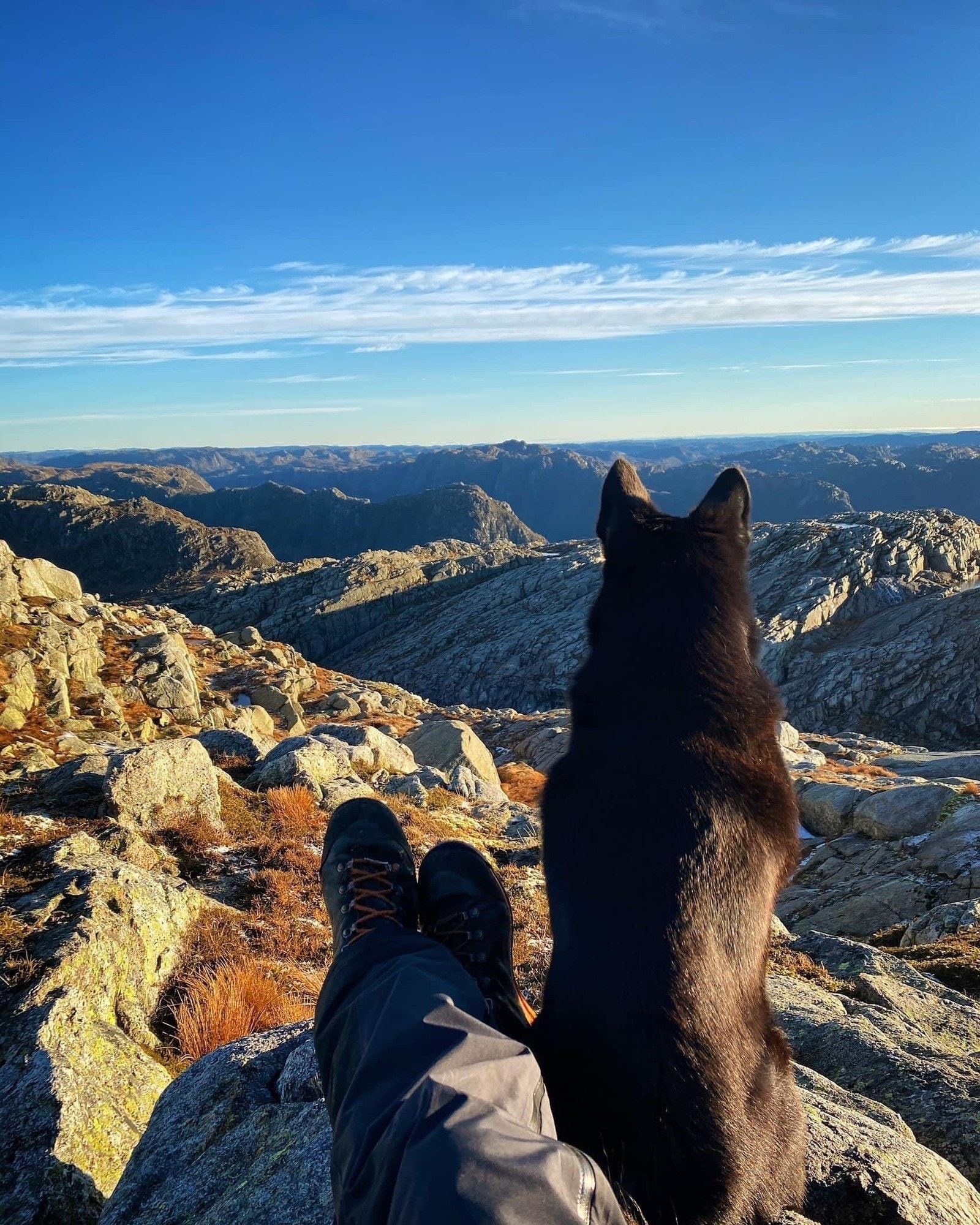 Skarkaknuten Galleribilde