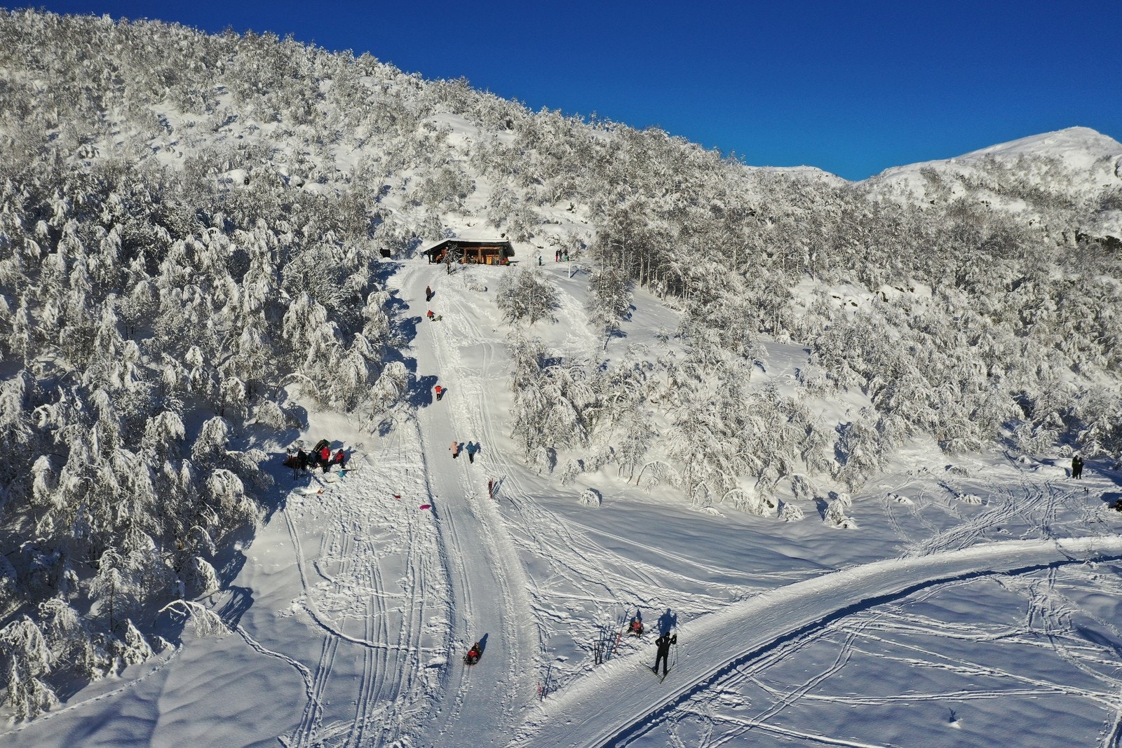 Gapahuken i hyttefeltet Galleribilde