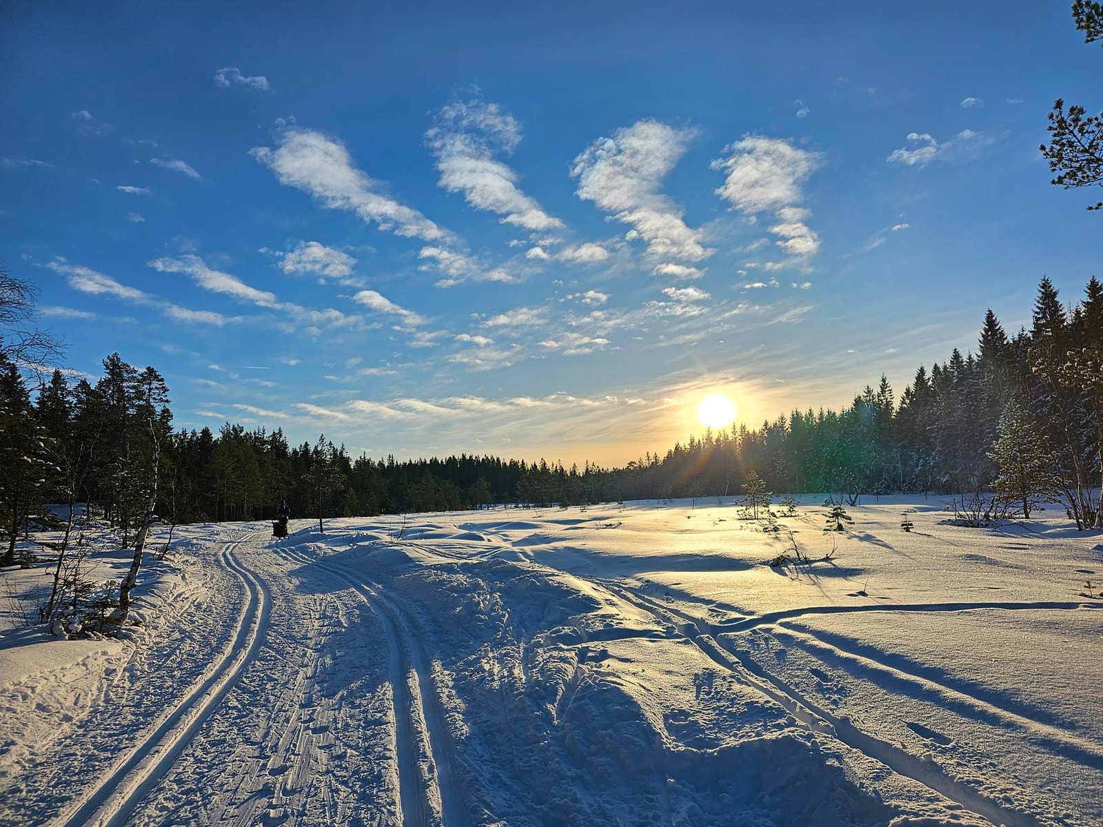 Fine løyper ikke langt fra hybelen Galleribilde