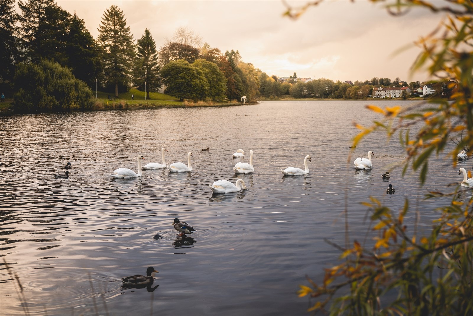 Flotte turområder i nærheten som Tveitevannet. Galleribilde