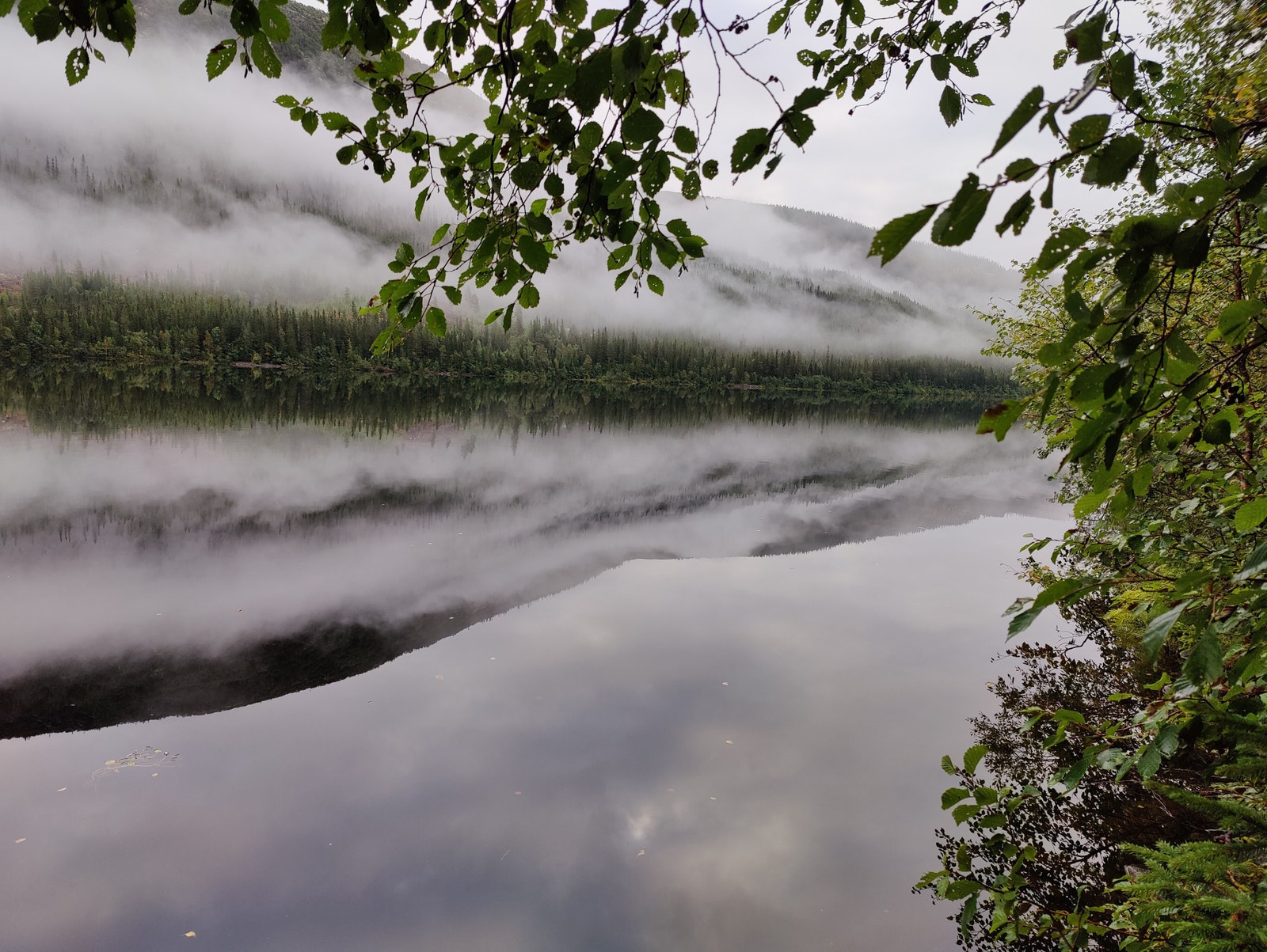 Finstadsjøen Galleribilde