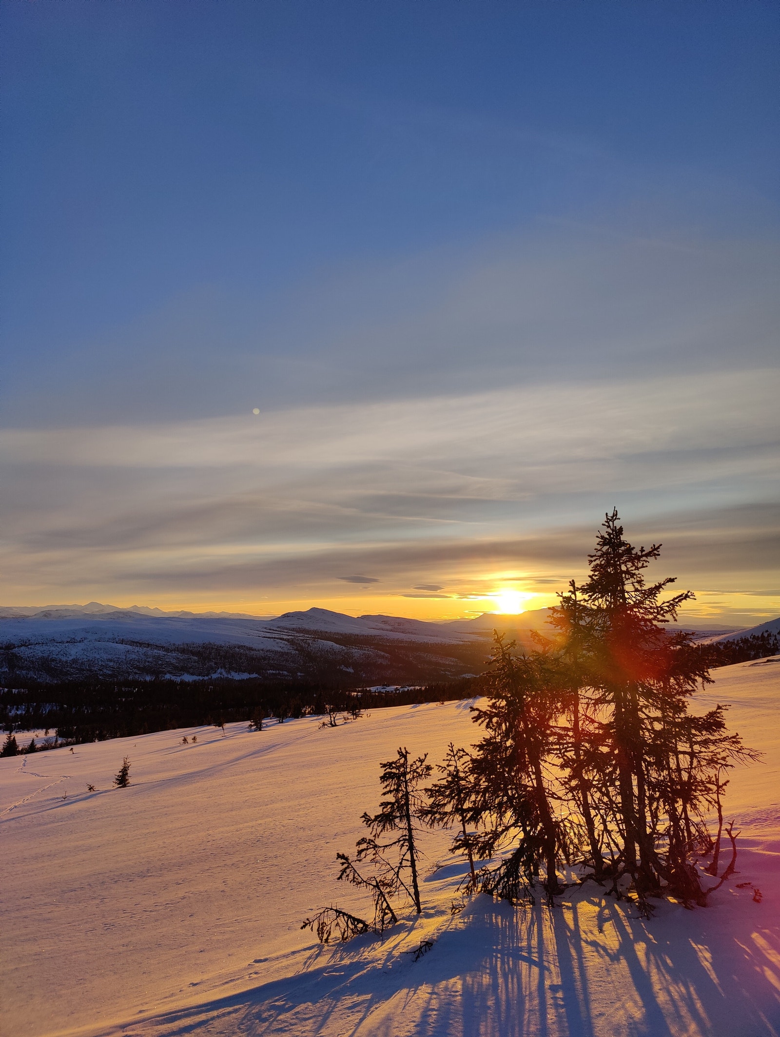 Flotte fjellområder nord i Rendalen Galleribilde