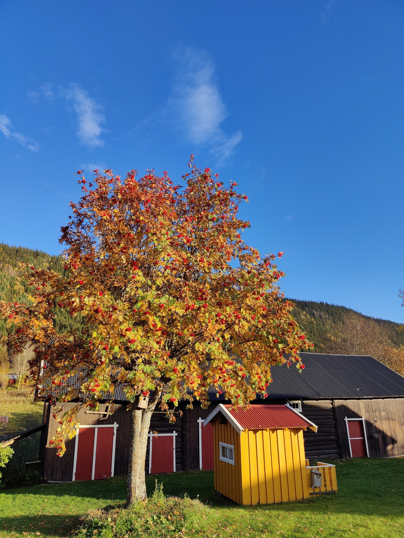 Gårdstunet Galleribilde