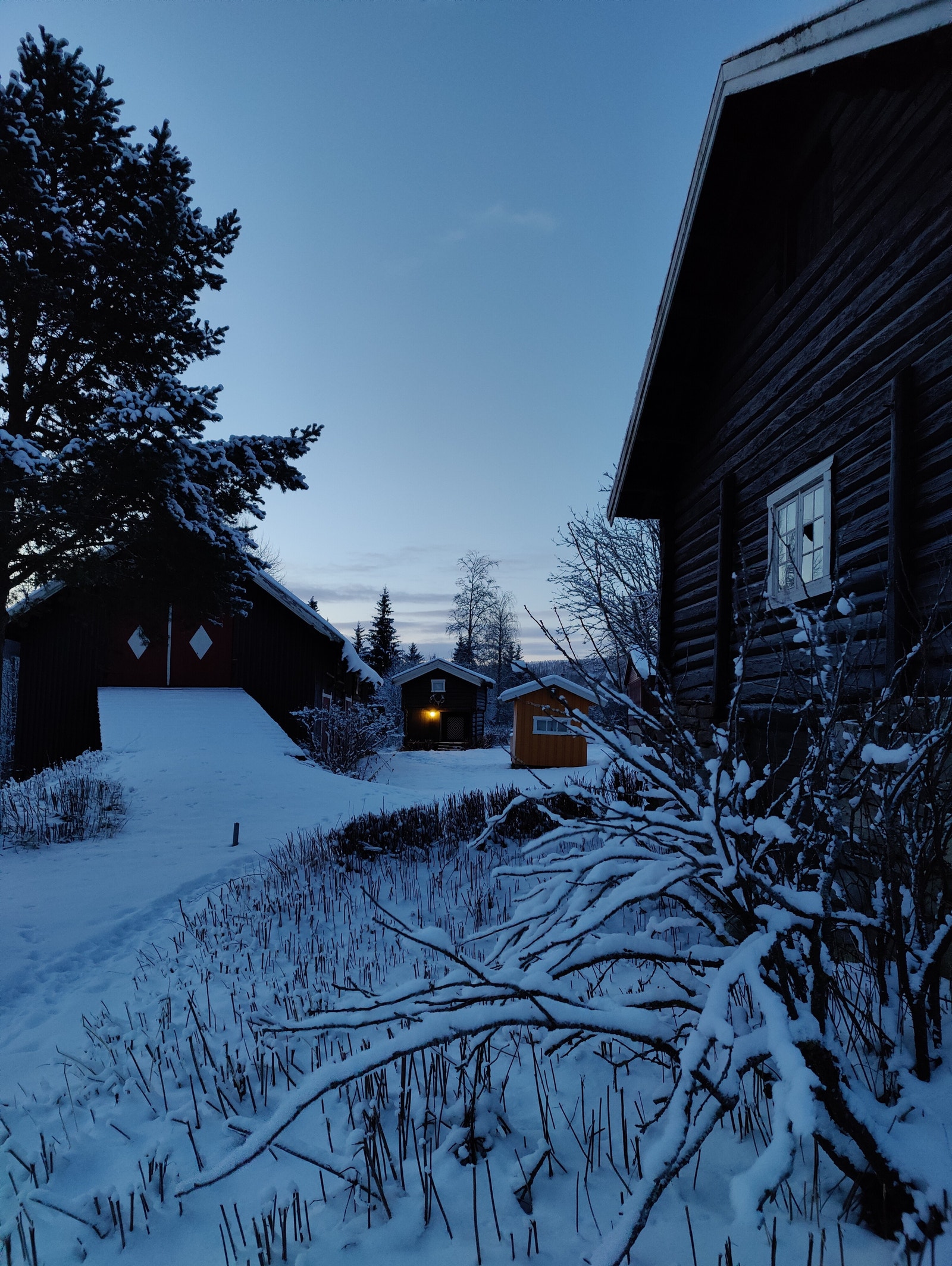 Gårdstunet med eldre tømmerbygninger Galleribilde
