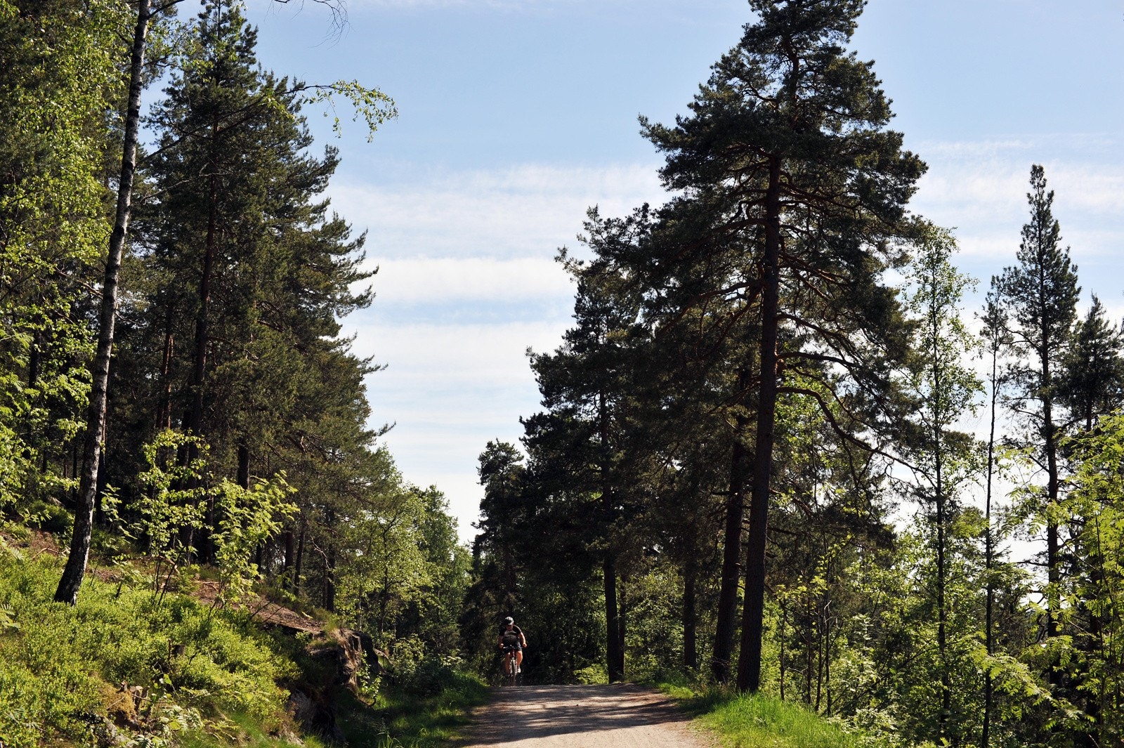 Boligene har kort vei til marka med unike turmuligheter sommer som vinter. Galleribilde