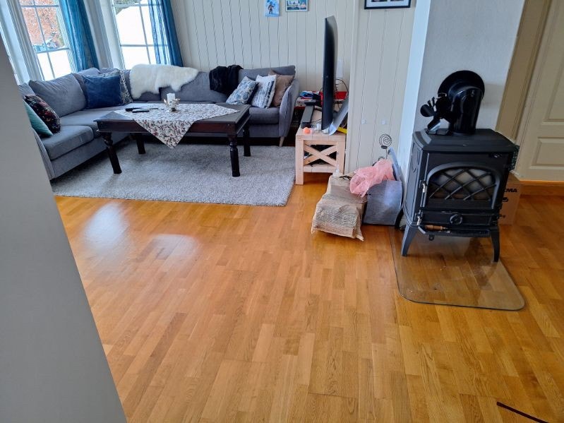 Stue med ildsted Galleribilde