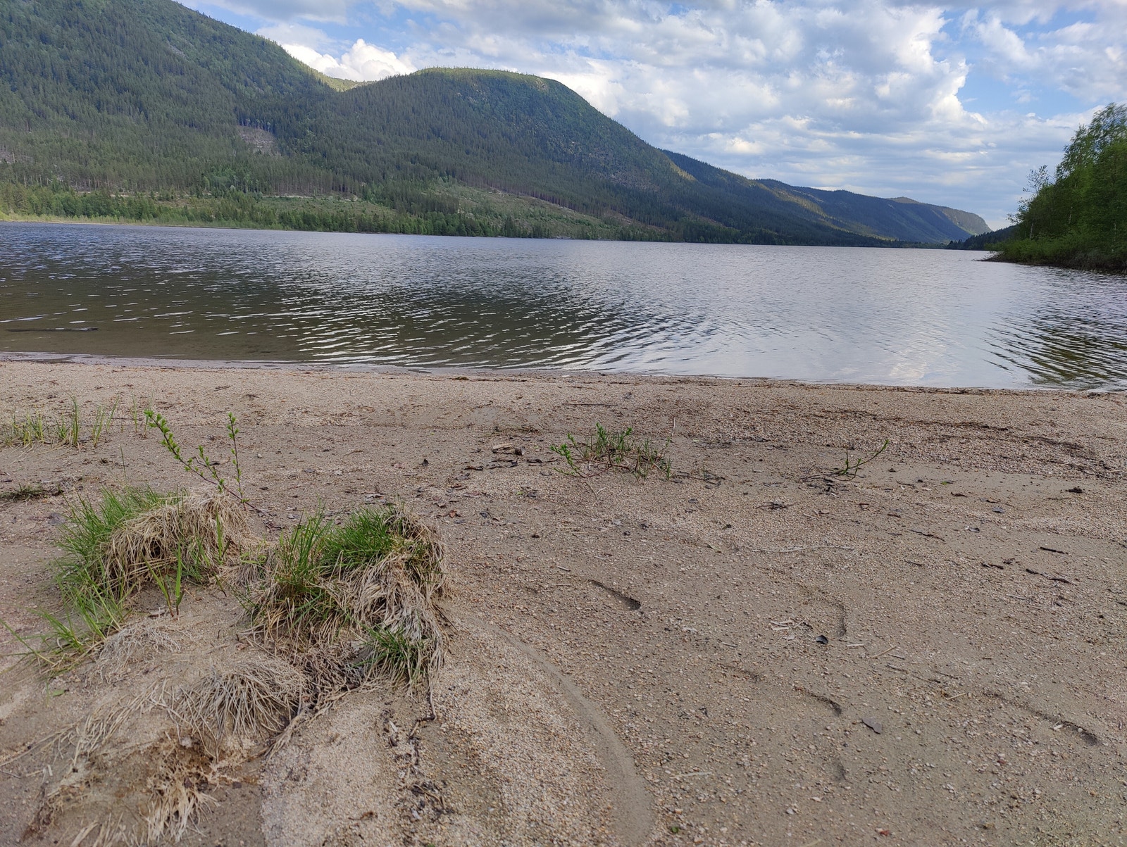 Fin badestrand i nordenden av Finstadsjøen Galleribilde