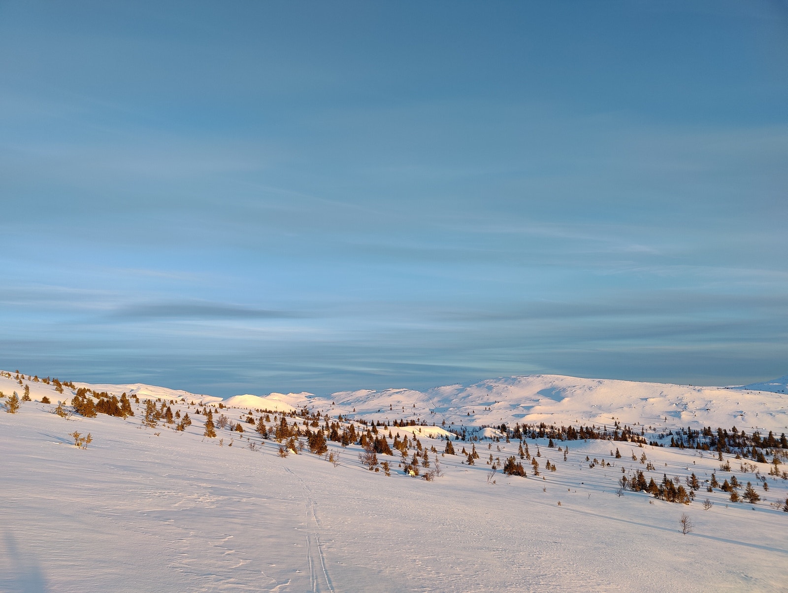 Gode muligheter for fine turer på fjellski Galleribilde