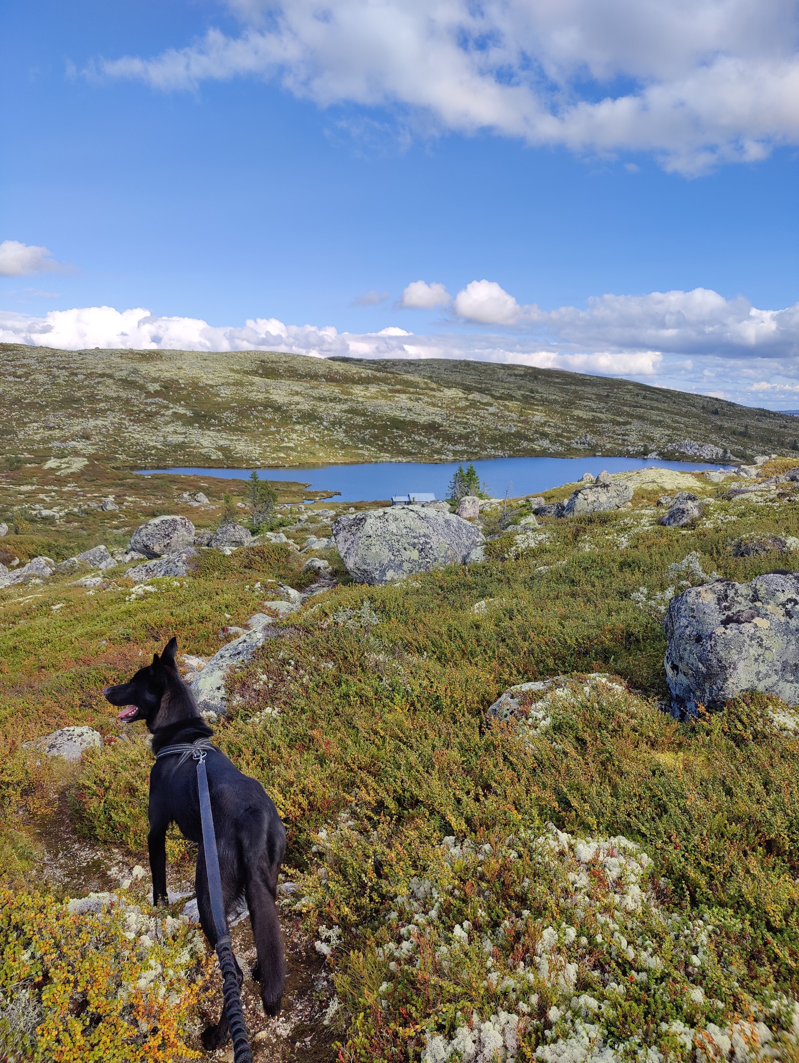 Fine turmuligheter i lettgått terreng Galleribilde