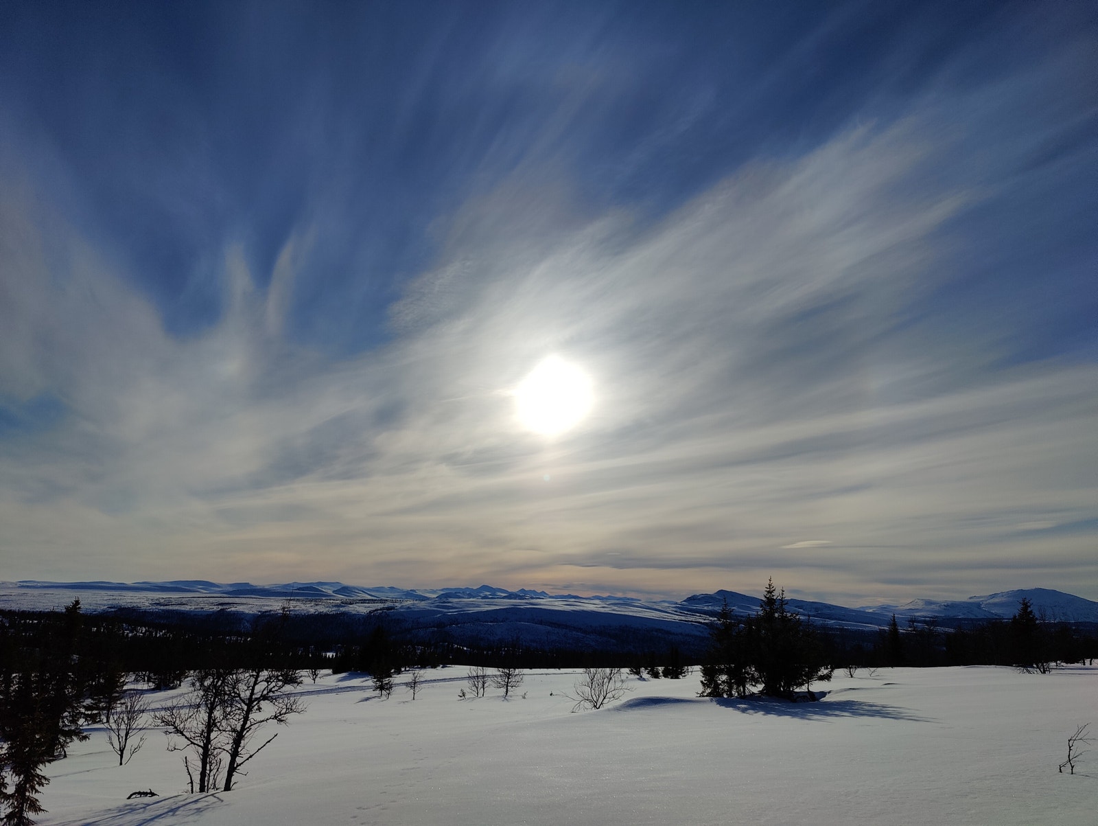 Gode muligheter for fine turer på fjellski Galleribilde
