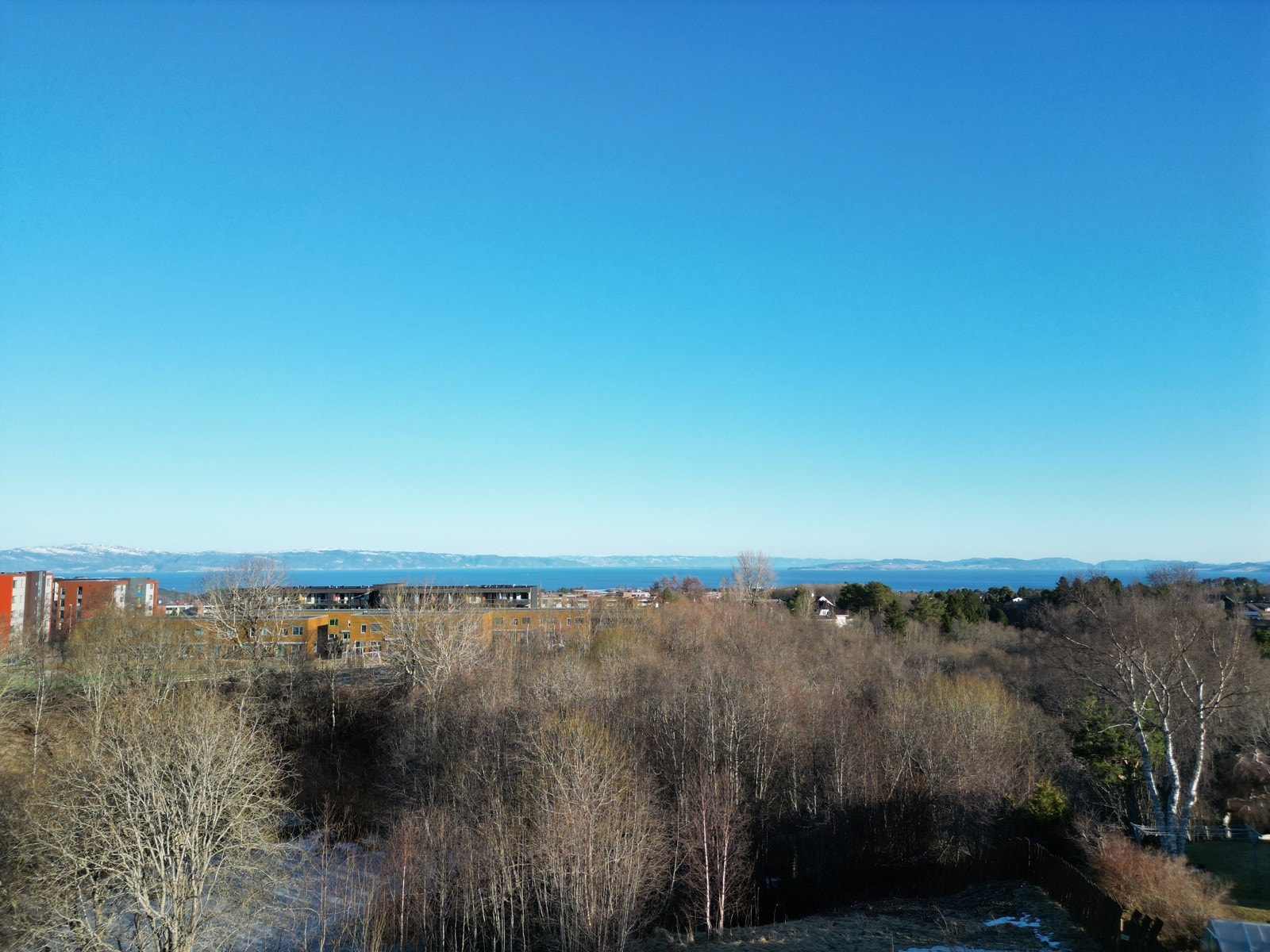 Utsikten fra stuen er meget god Galleribilde