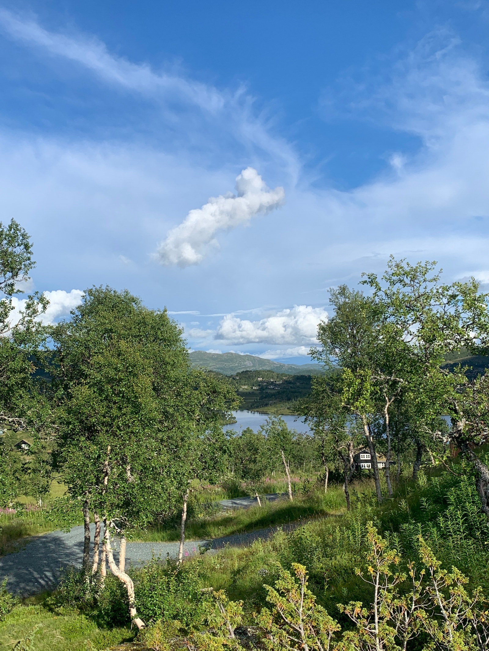 Utsikt mot Uvatn, østlig retning Galleribilde