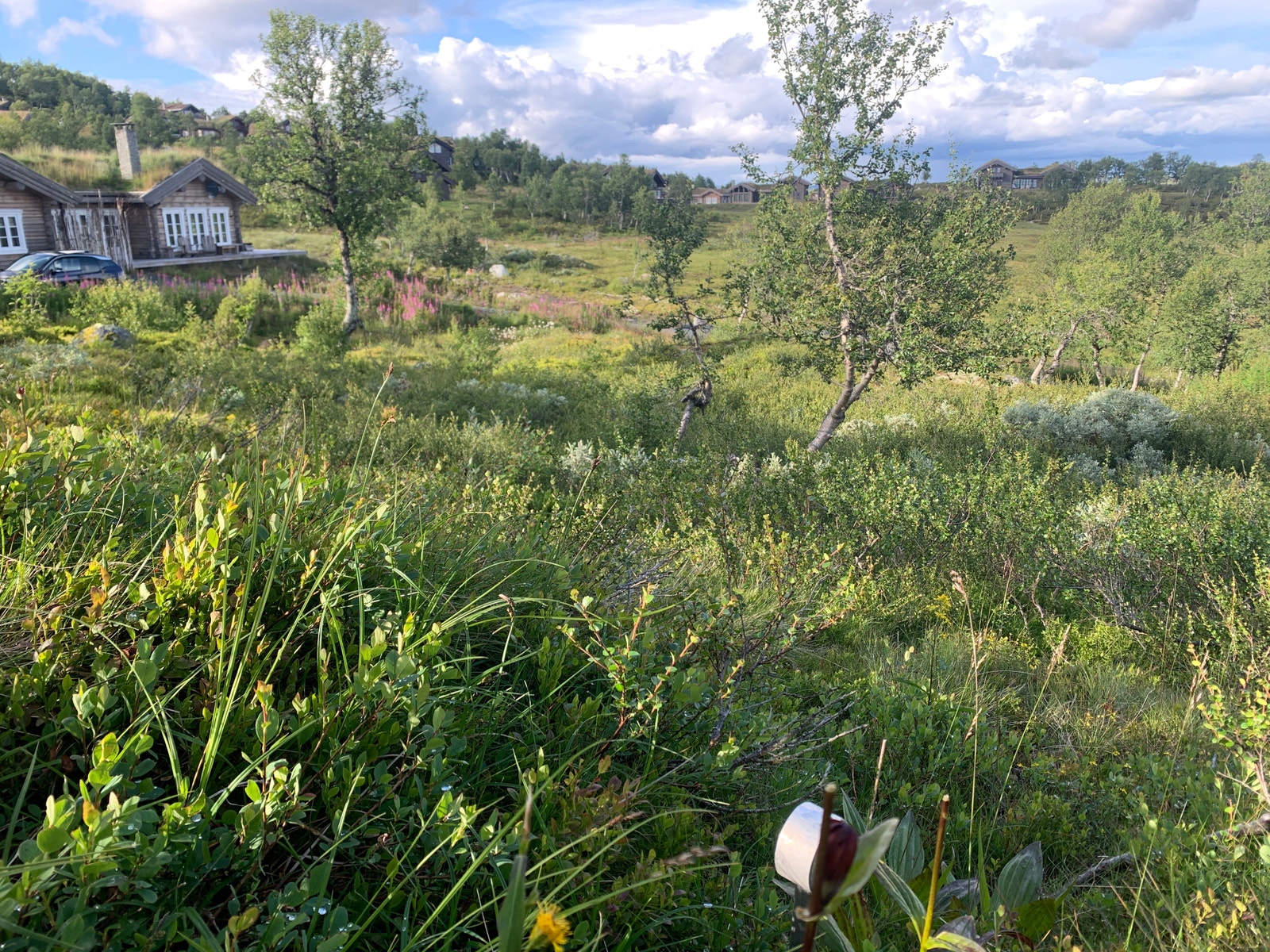 Sørøstlighjørne Galleribilde