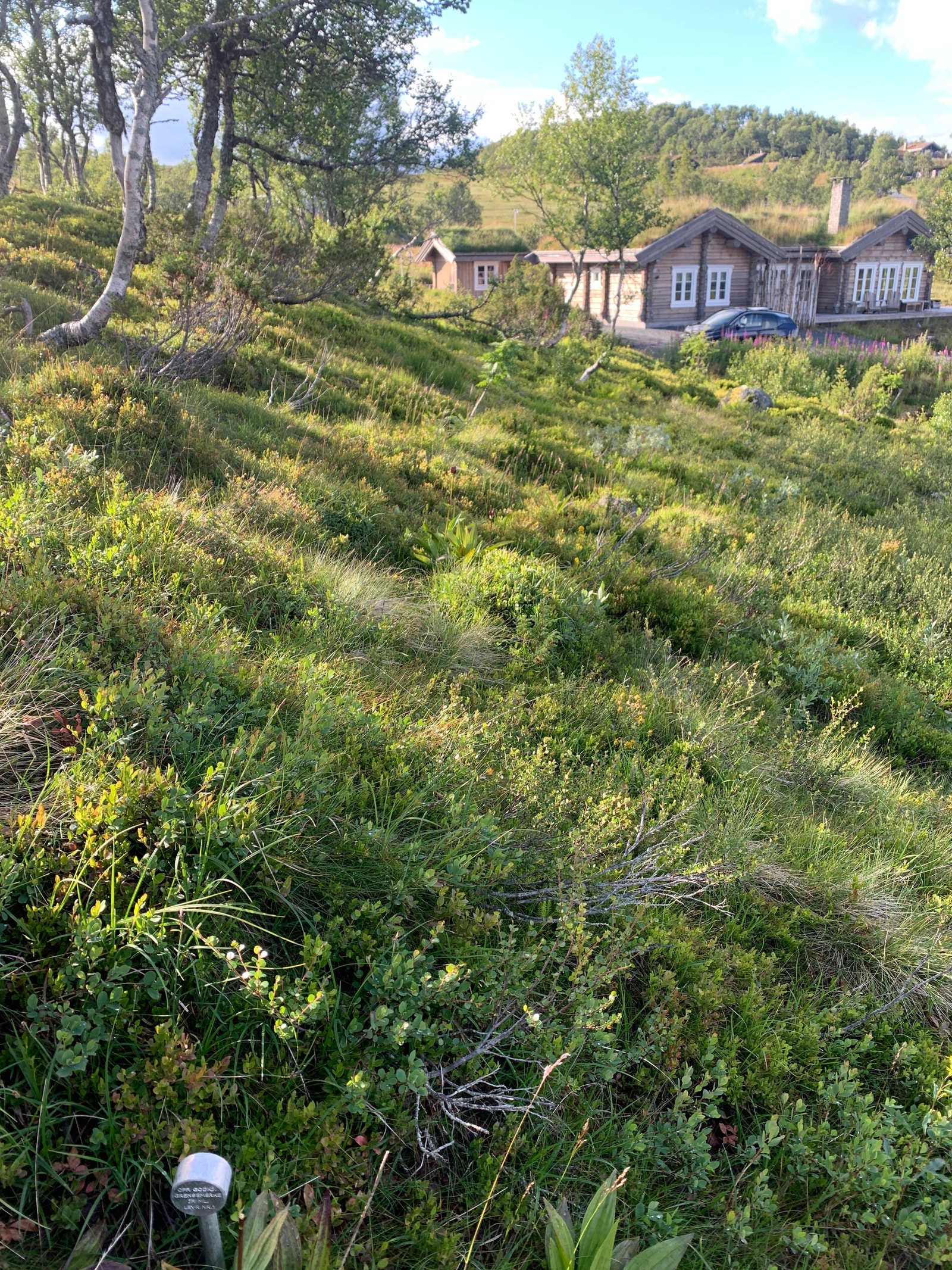 Nabo på Ranten 22 Galleribilde