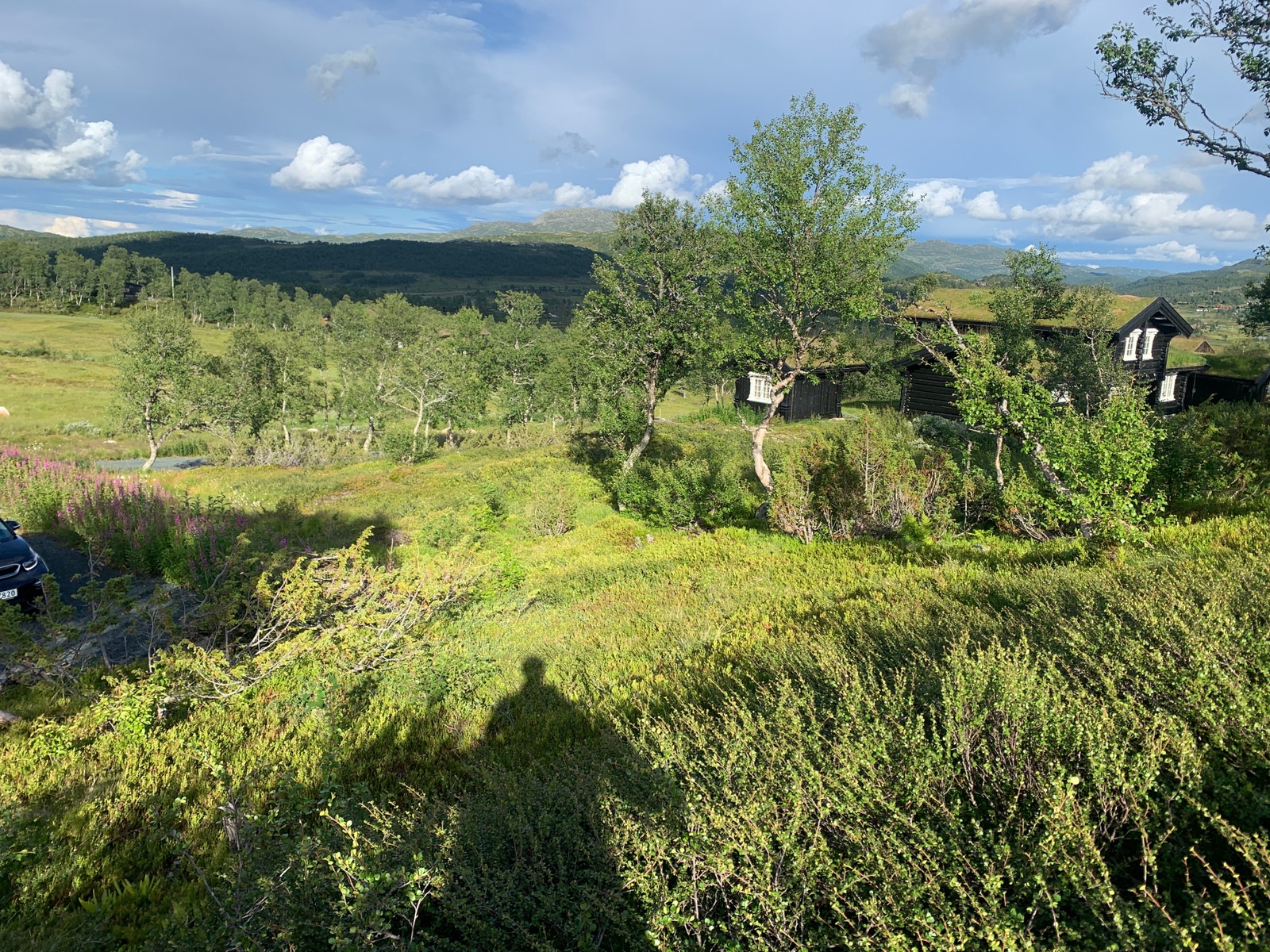 Utsikt i mot nabotomt Ranten 18 Galleribilde