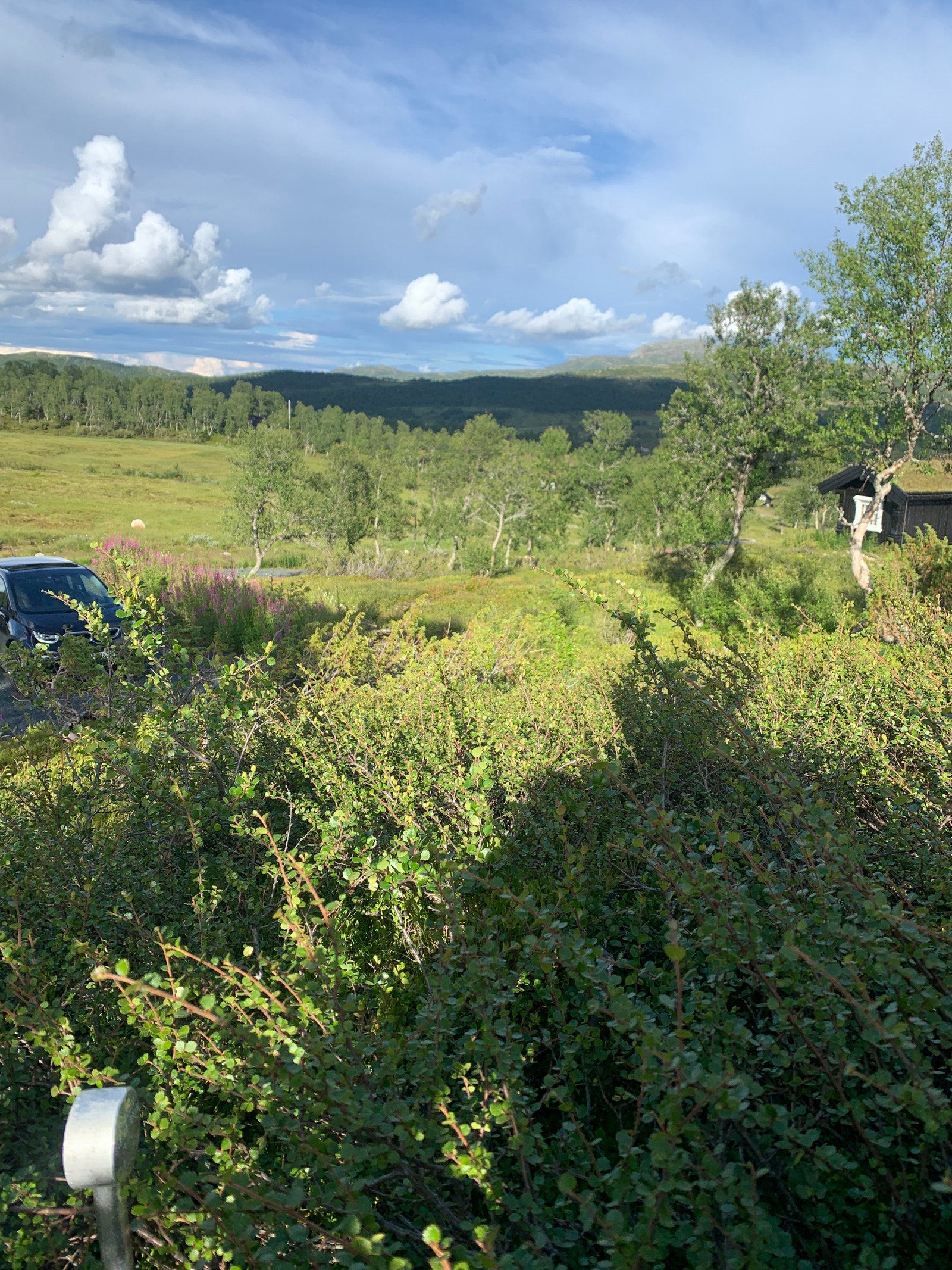 Grensepinne i sørvestlig hjørne Galleribilde