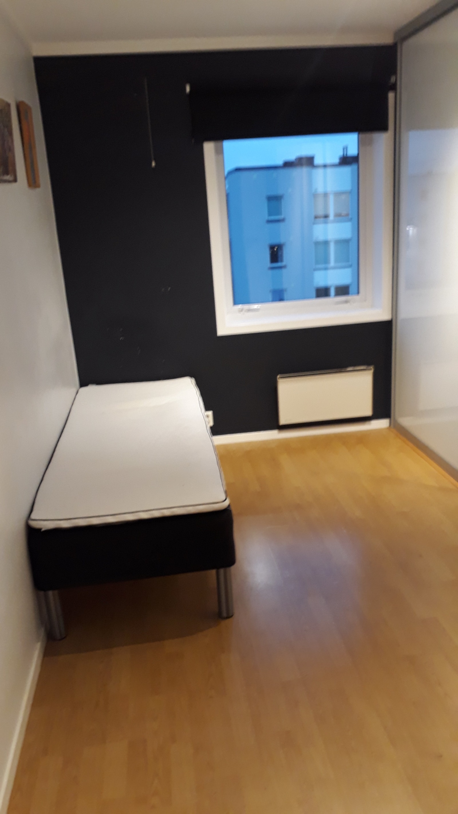 Rommet er 210 cm X 450 Galleribilde