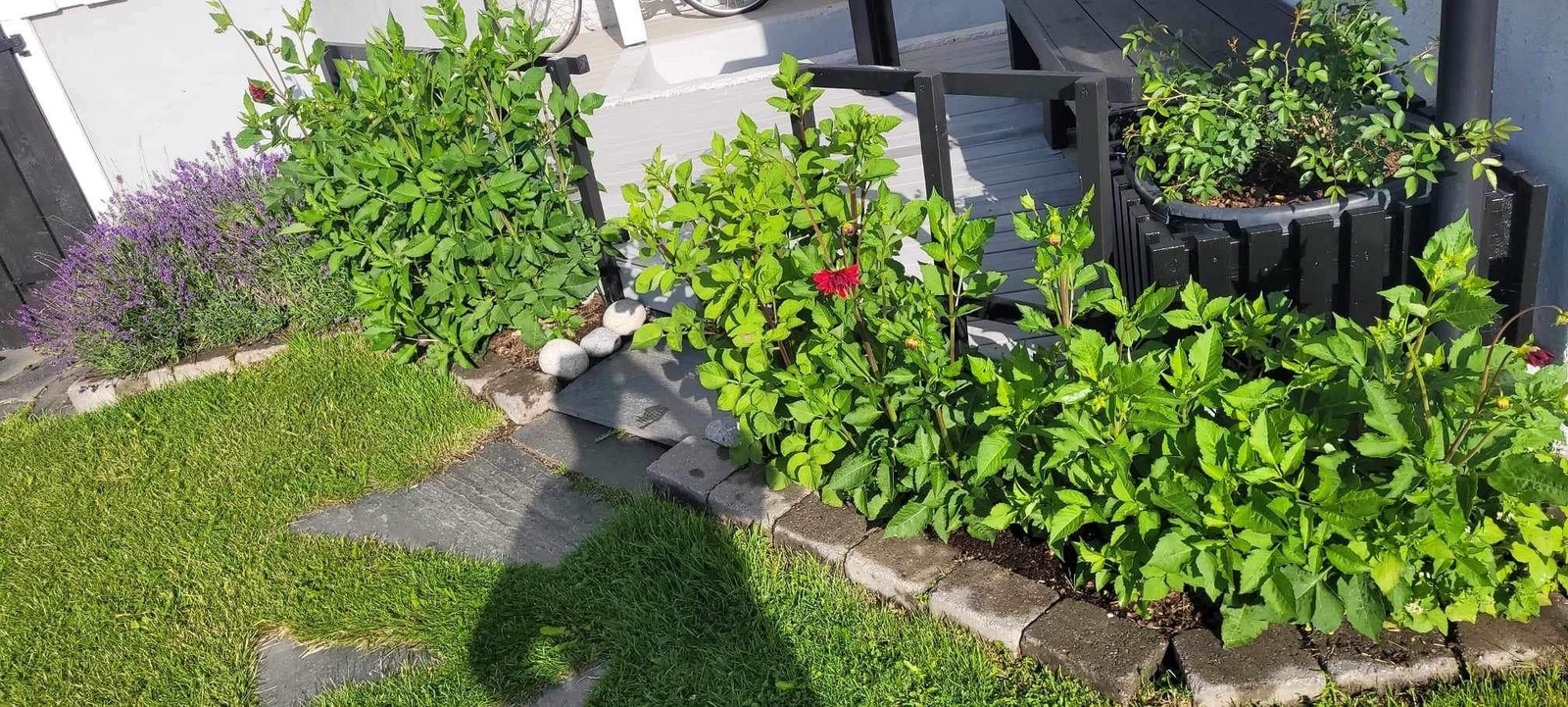 Uteplass med krakk Galleribilde