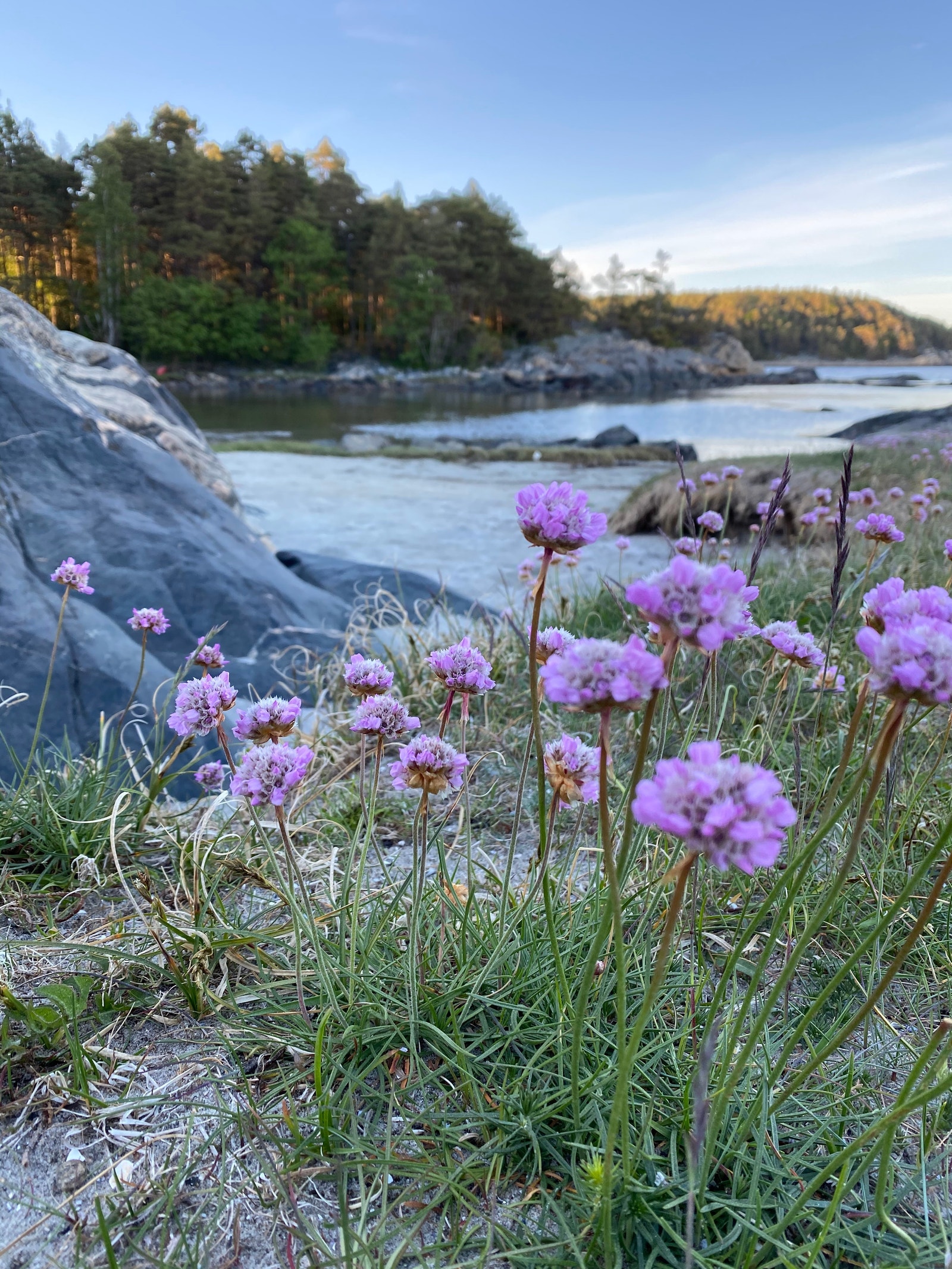 Stuevika, badeplass 10 min fra hytten Galleribilde
