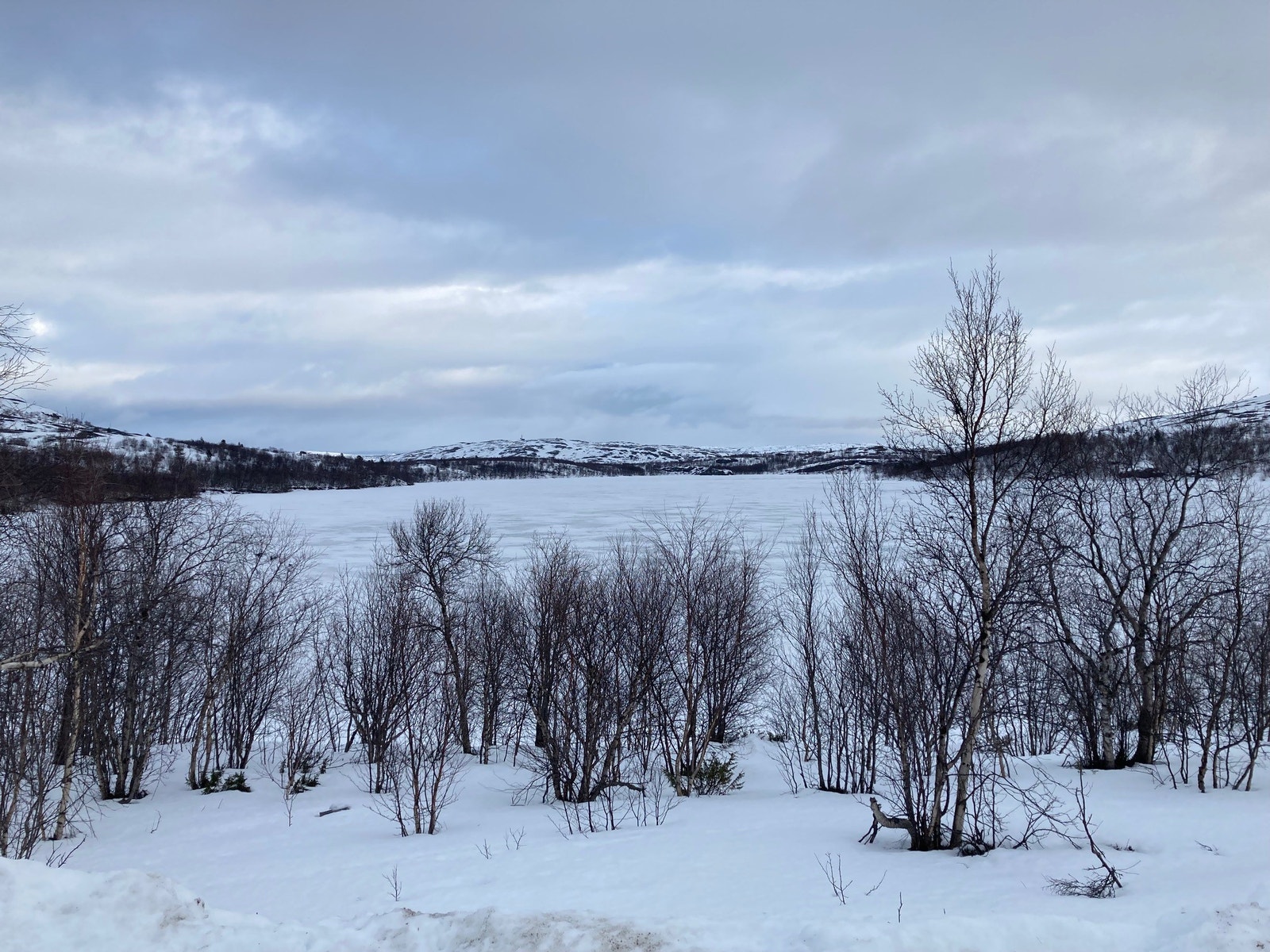 Omgivelser Galleribilde