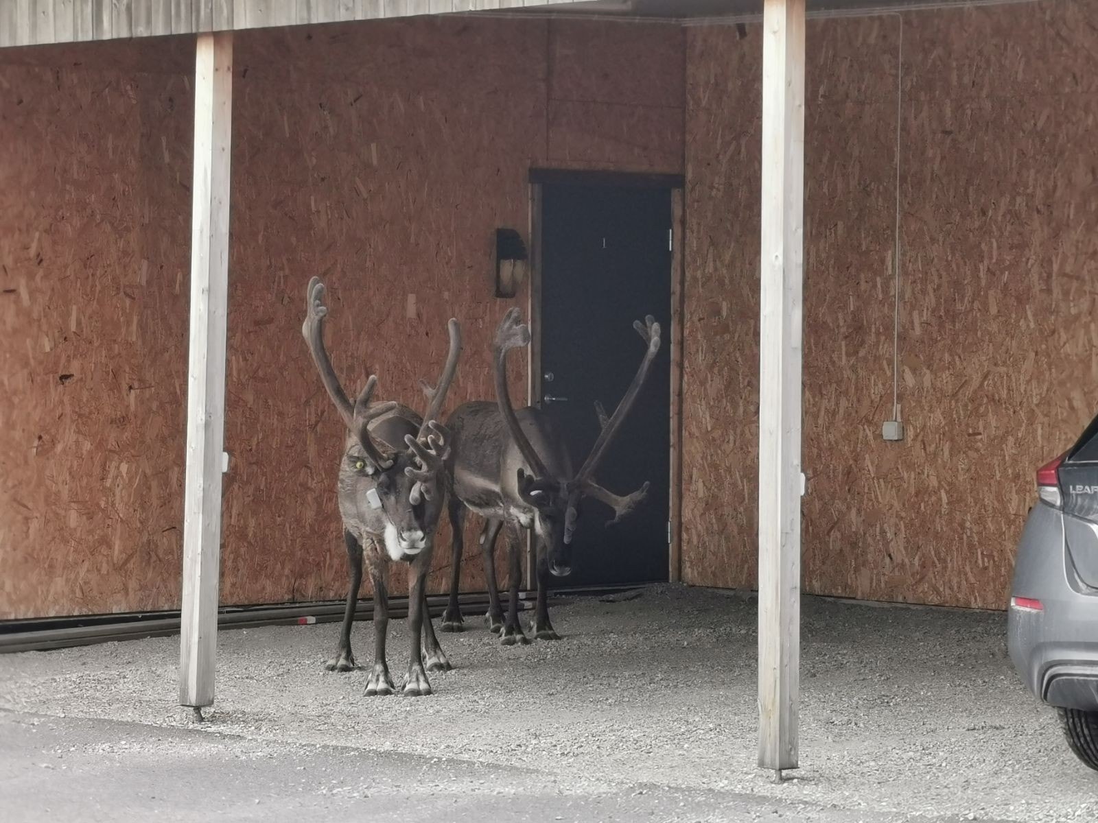 Carport Galleribilde