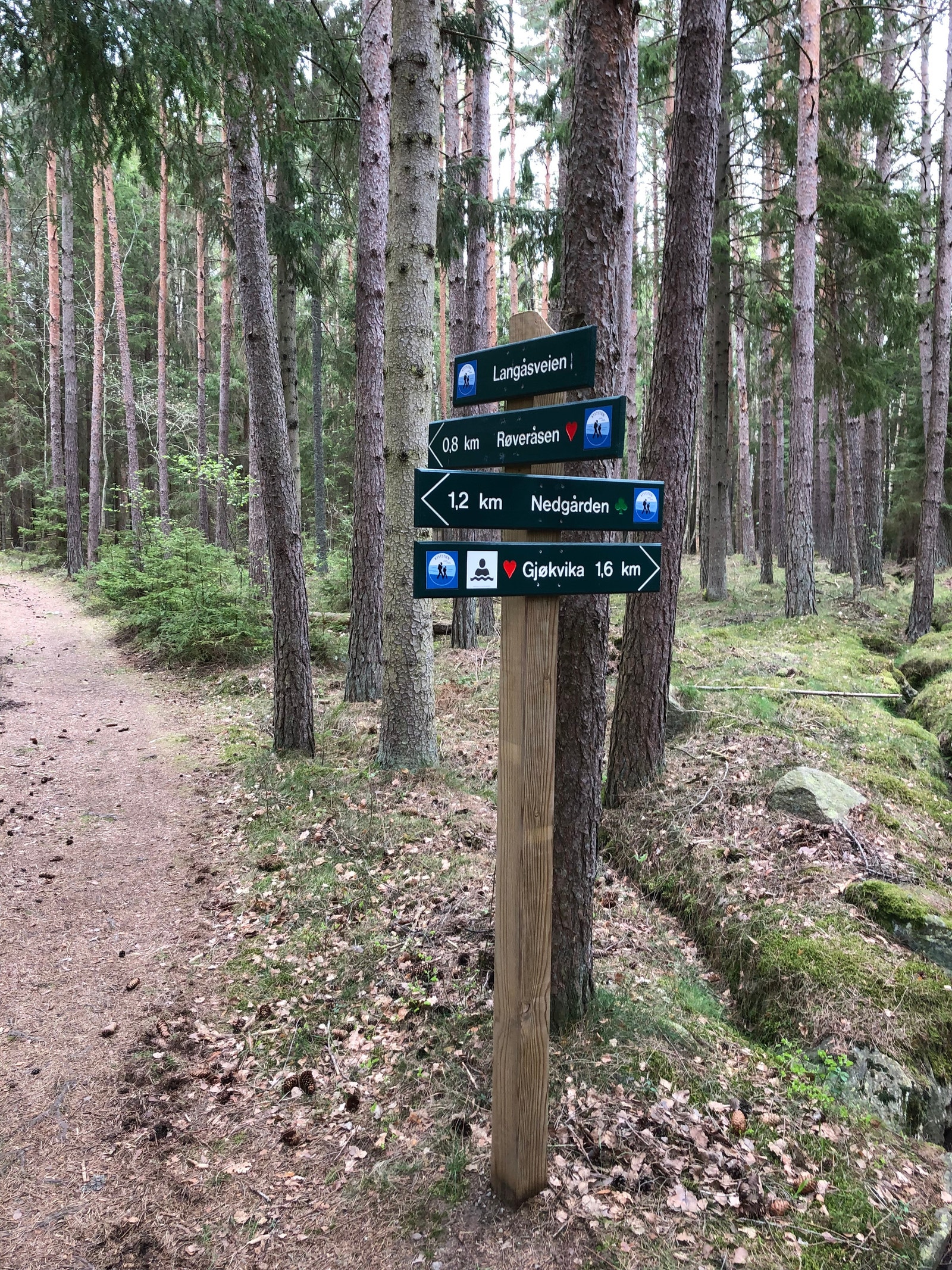 Stier på kryss og tvers er godt merket Galleribilde