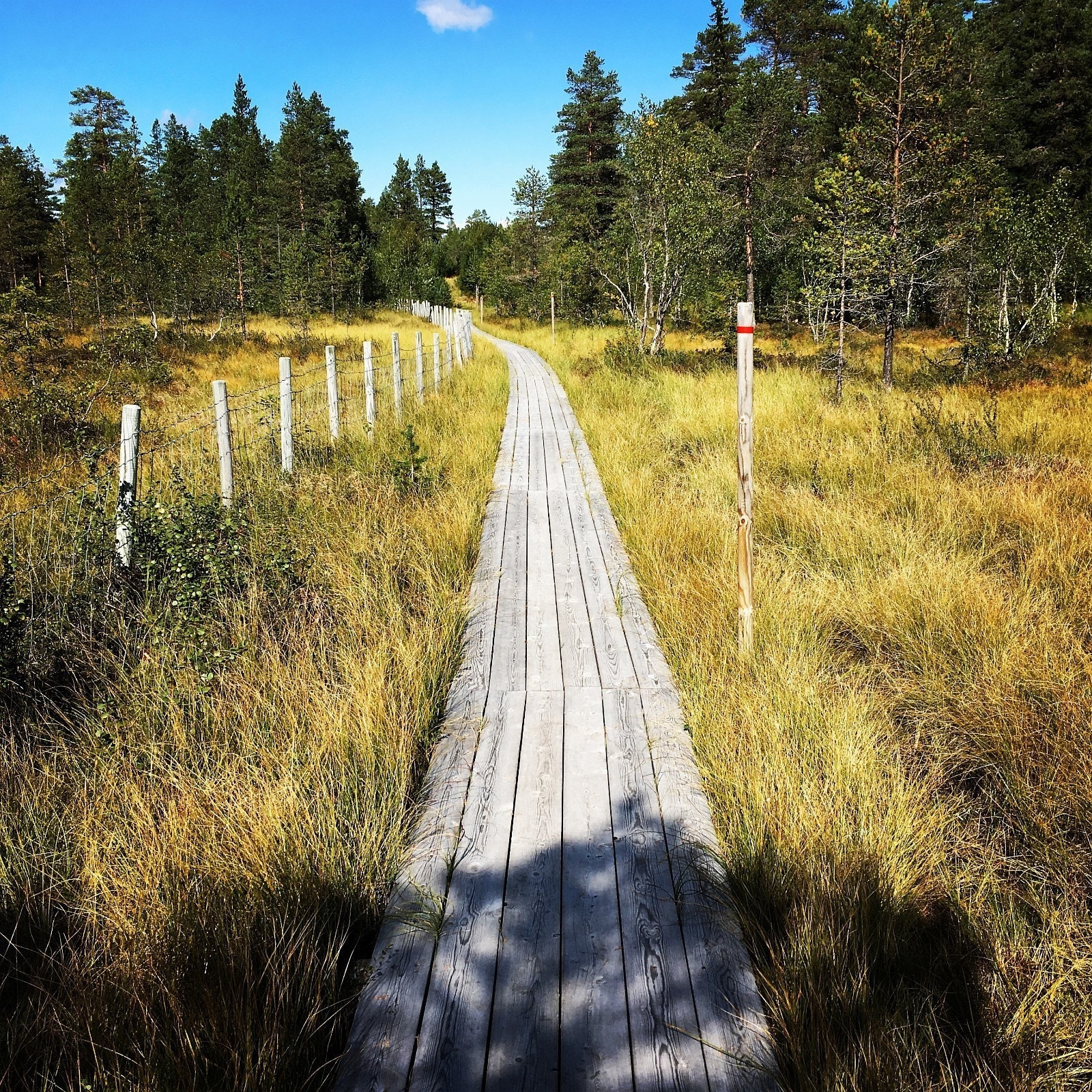 Flotte gang- og sykkelstier Galleribilde