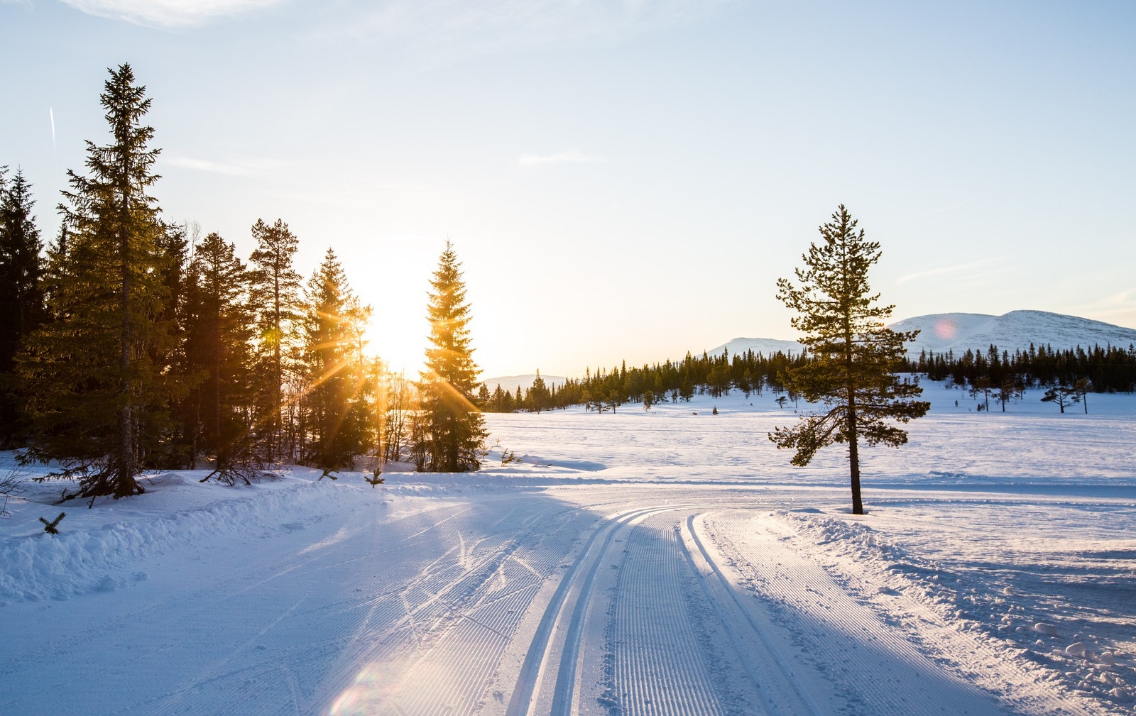 Beste løypenettet i Norge? Mangfoldige mil med oppkjørte langrennsløyper. Prepareres flere ganger i uken bla. pga skigymnaset i Meråker Galleribilde