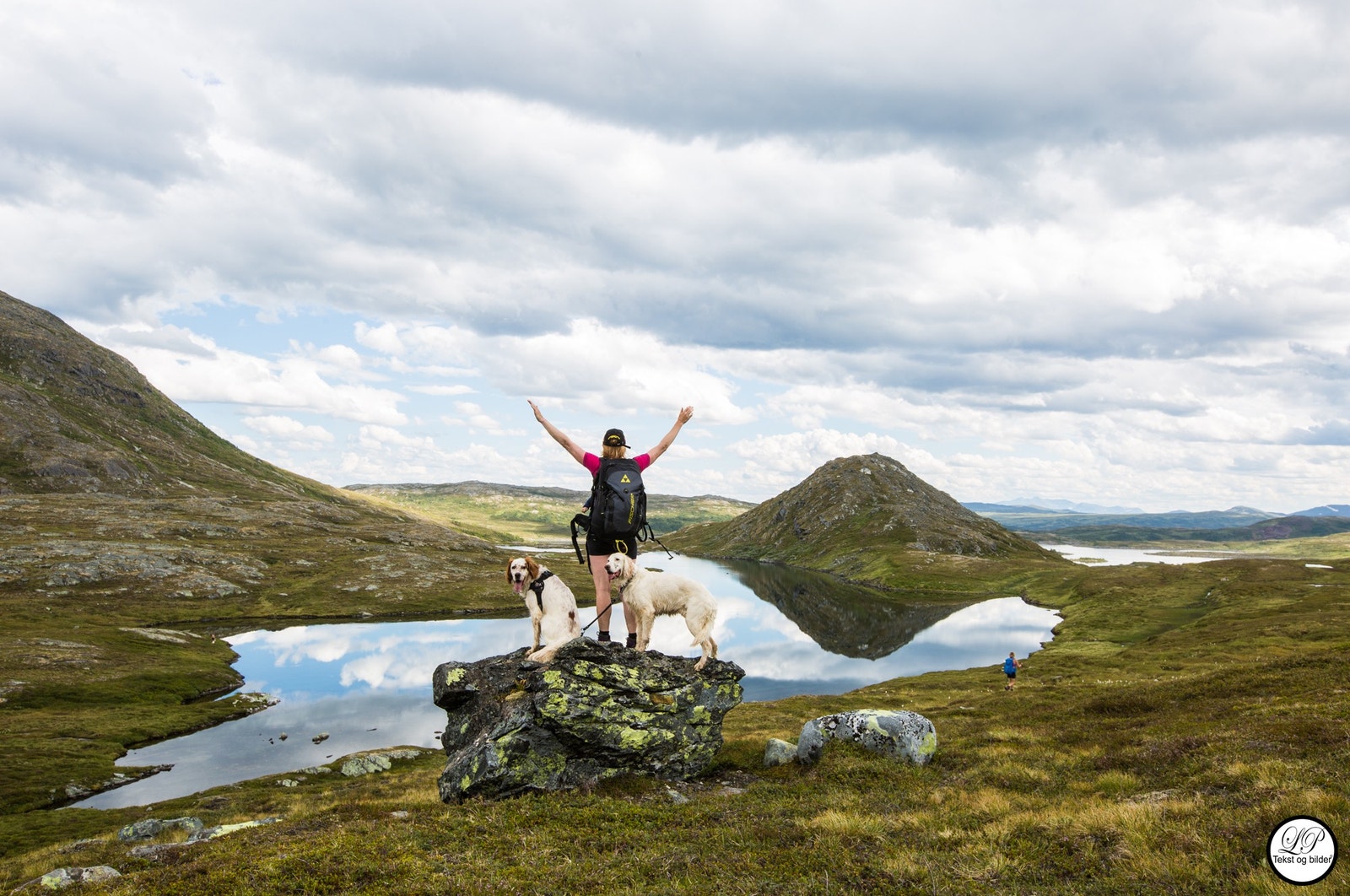 Flotte turmuligheter - vinter som sommer Galleribilde