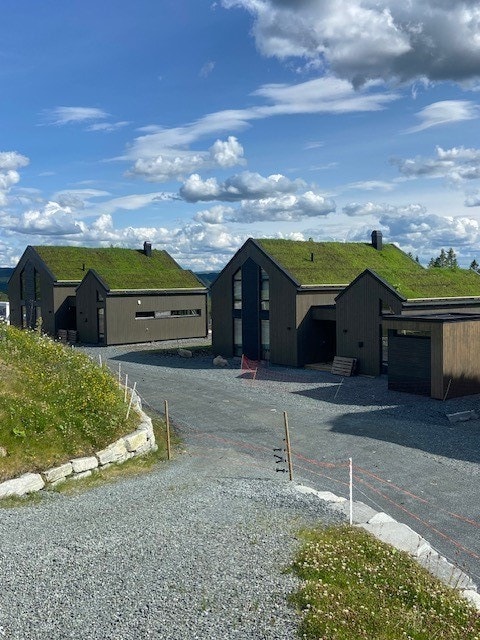 Sportslia et godt bomiljø Galleribilde