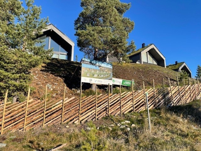 Sportslia har 11 fritidsboliger med felles skigard Galleribilde