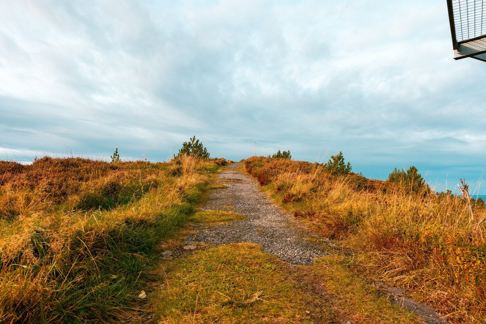 Vei opp til synesfjellet Galleribilde