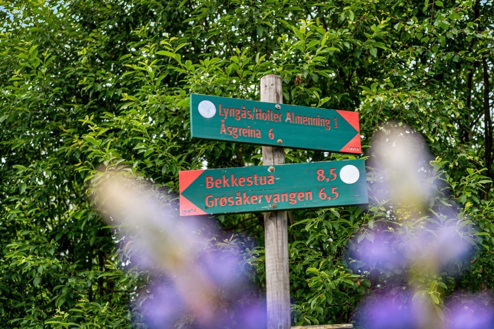 Mange fine turområder i nærmiljøet Galleribilde