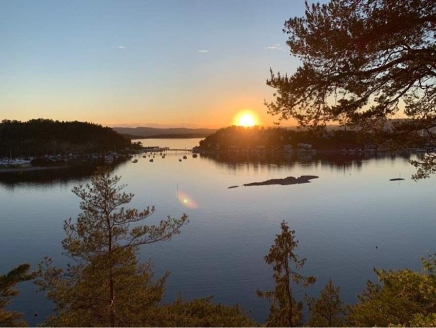 Utsikt fra eiendommen Galleribilde