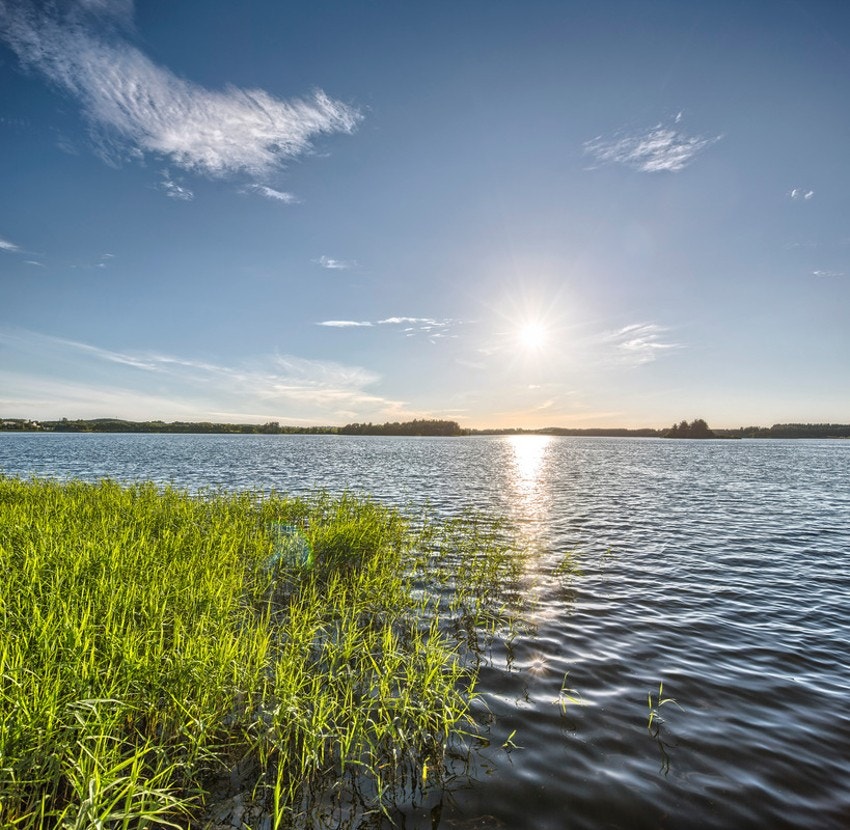 Område Galleribilde