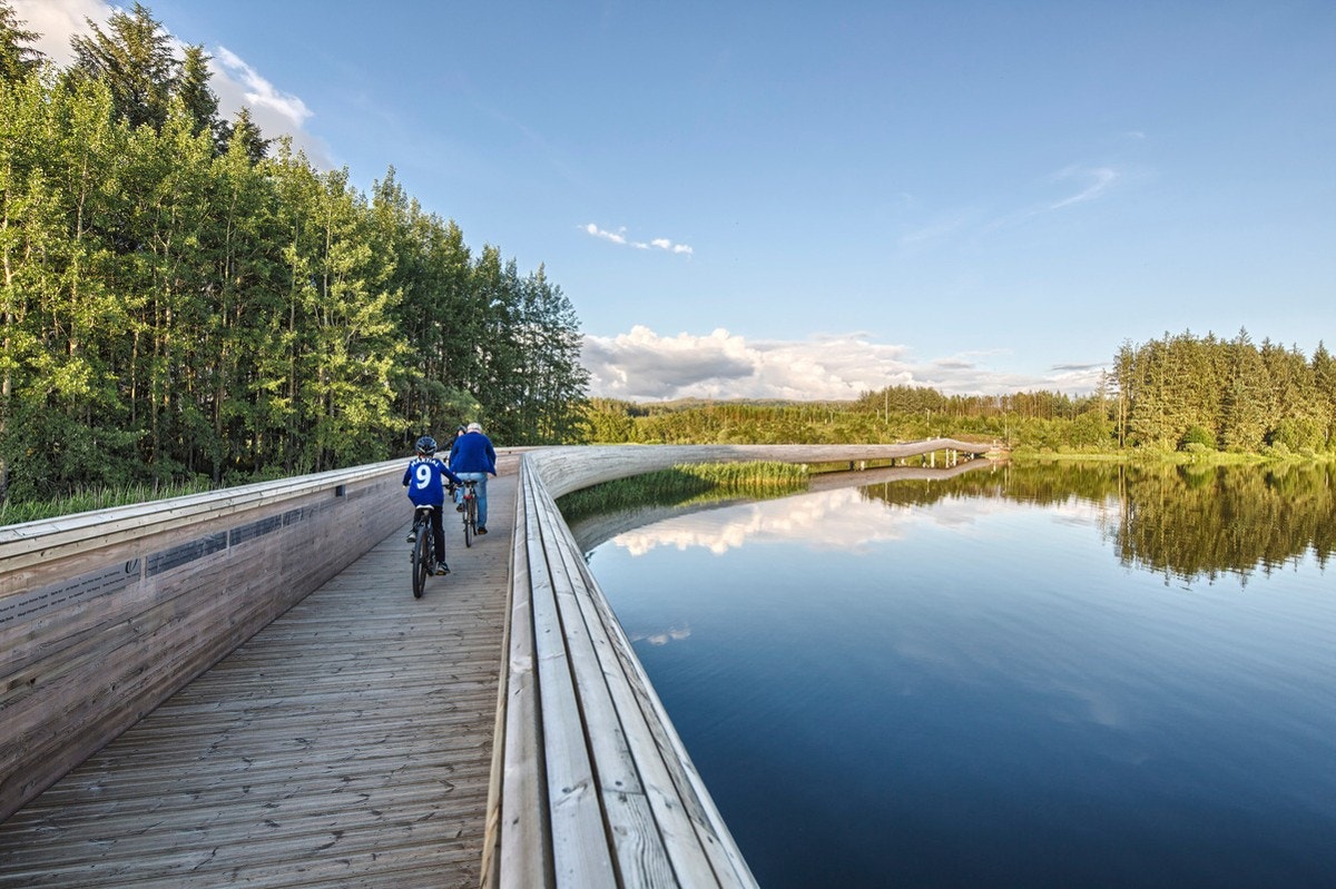 Område Galleribilde