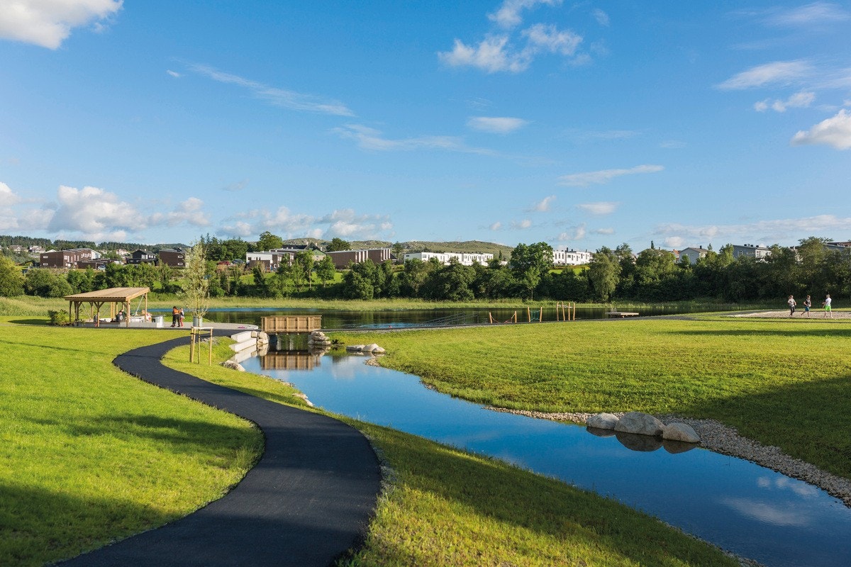 Område Galleribilde