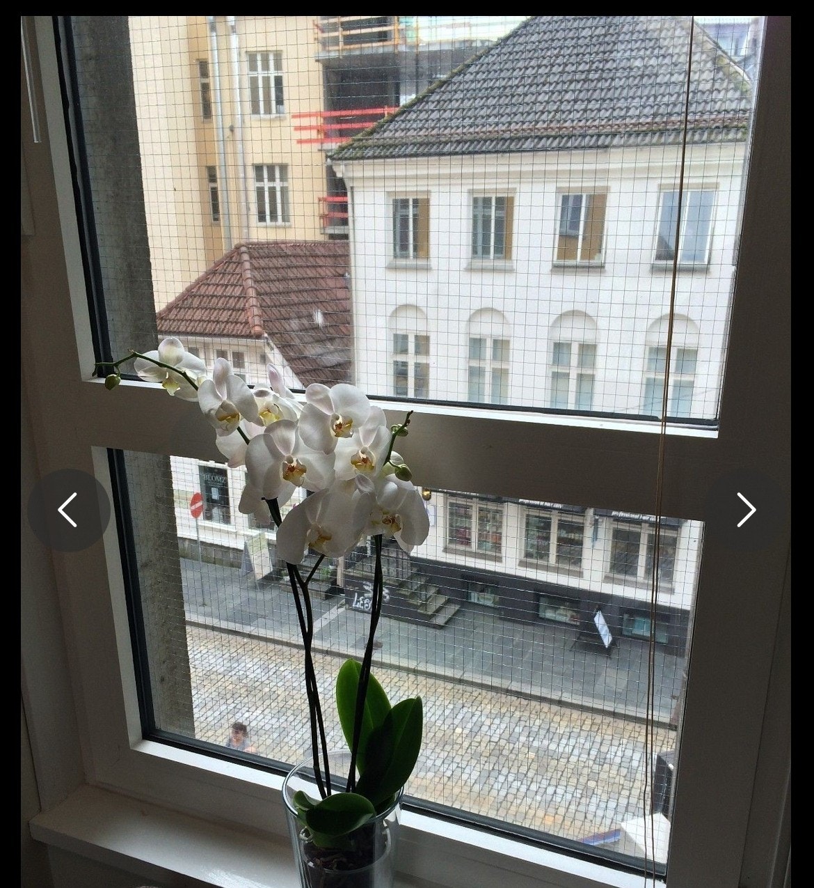 Utsikt mot Vaskerelven fra soverom Galleribilde