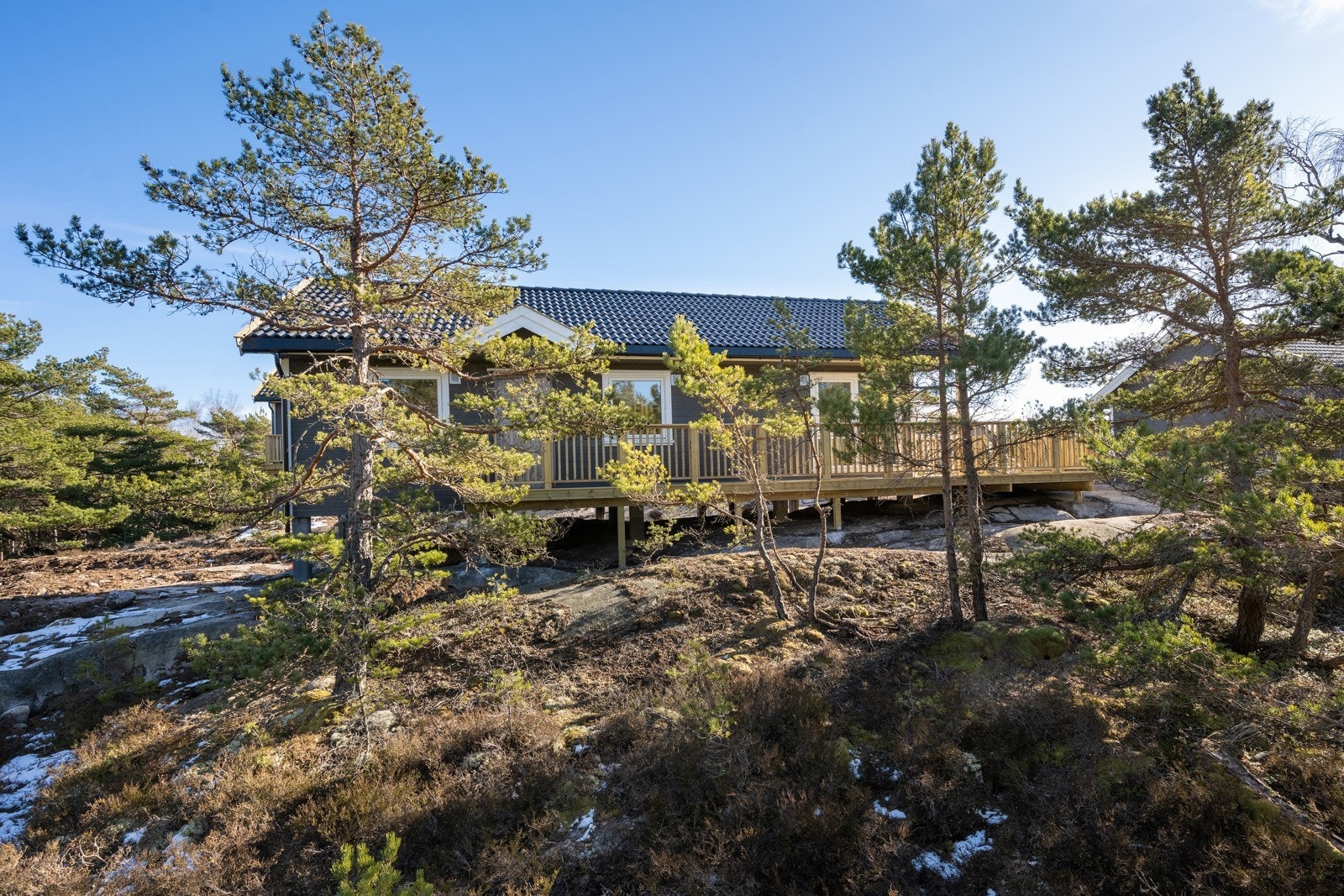 Hytta sett fra veien. Galleribilde